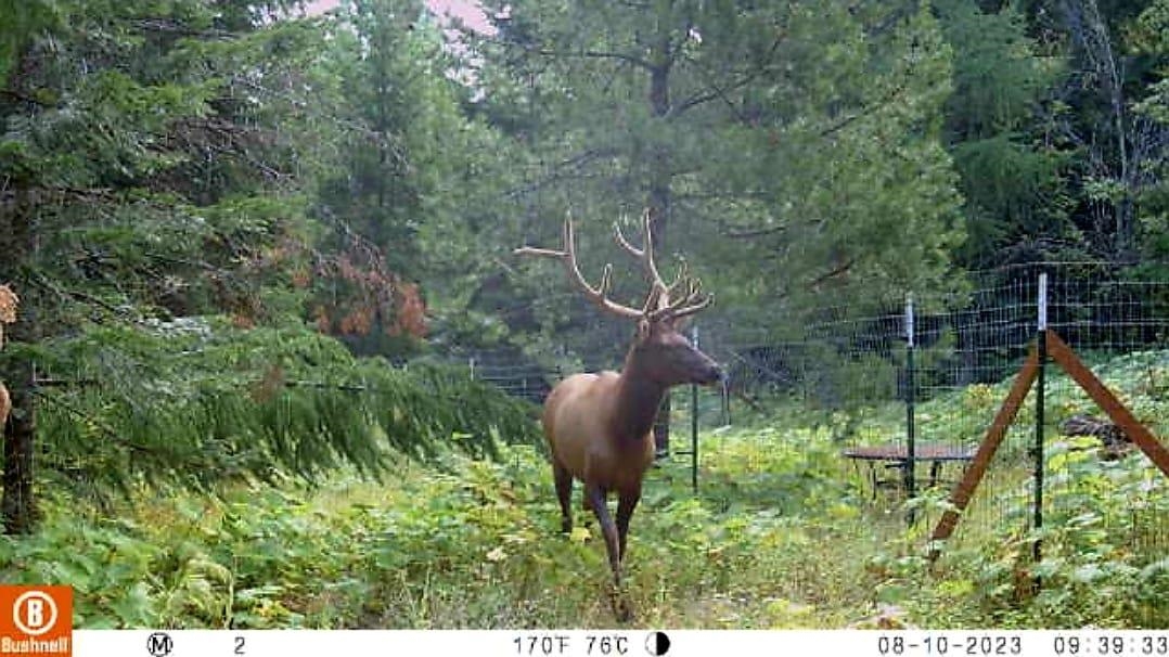 NKA LOOKOUT Rd - Photo 6