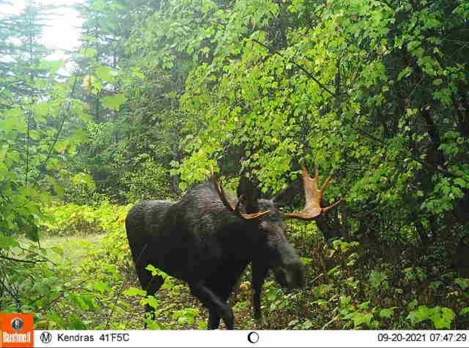 NKA LOOKOUT Rd - Photo 7