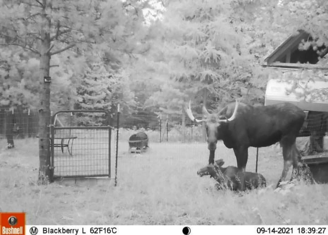 NKA LOOKOUT Rd - Photo 9