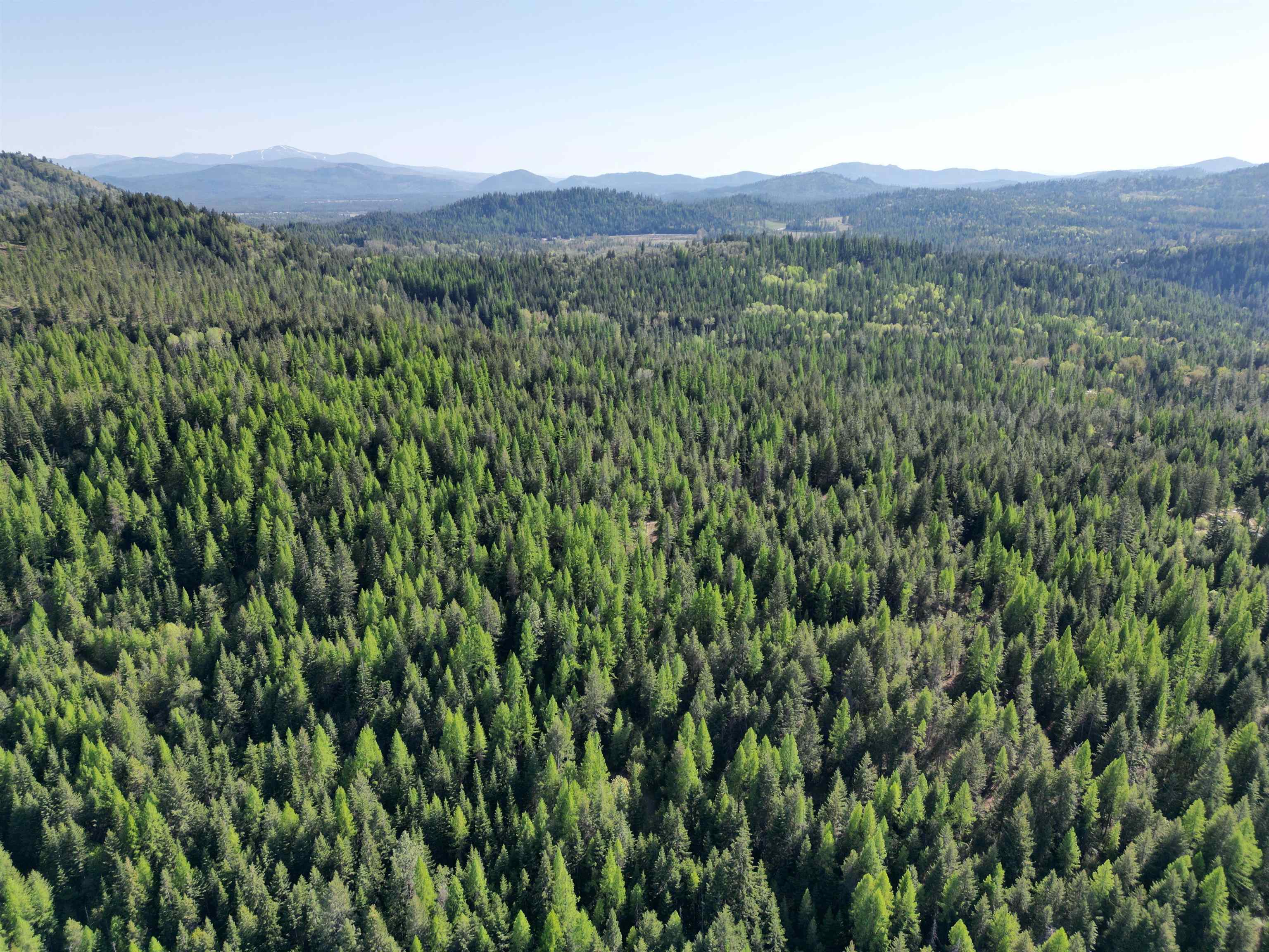 NKA LOOKOUT Rd - Photo 23