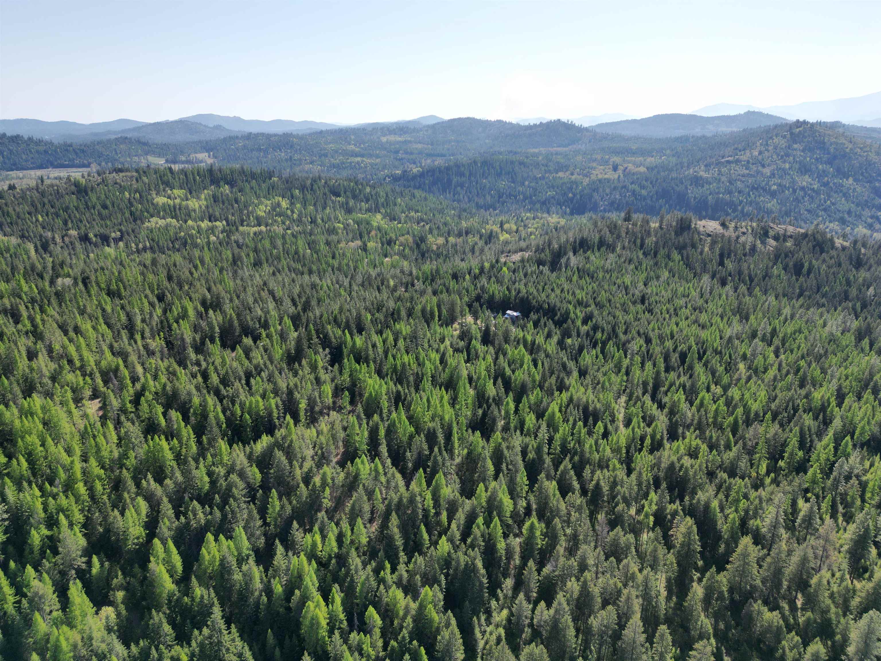 NKA LOOKOUT Rd - Photo 30