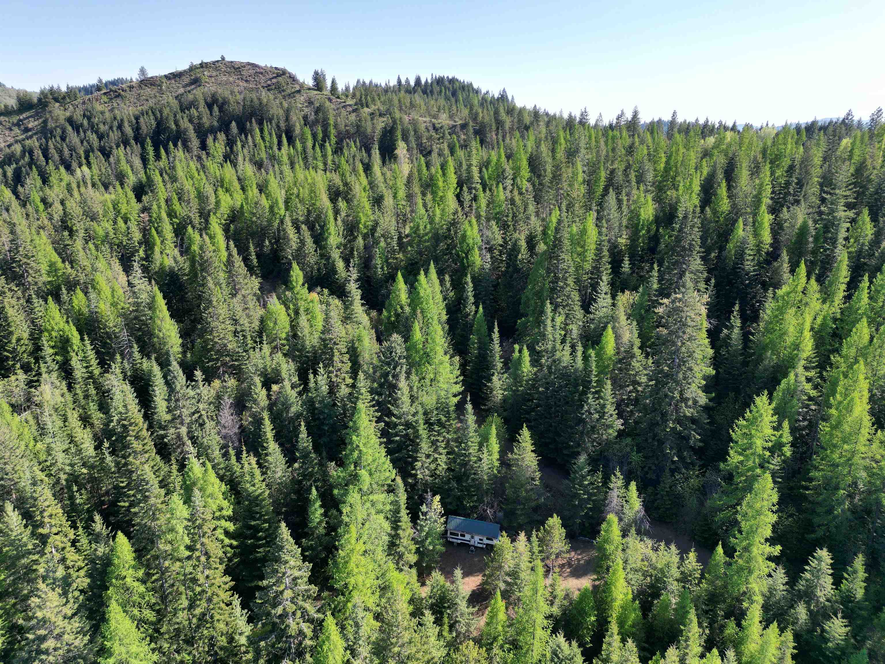 NKA LOOKOUT Rd - Photo 31
