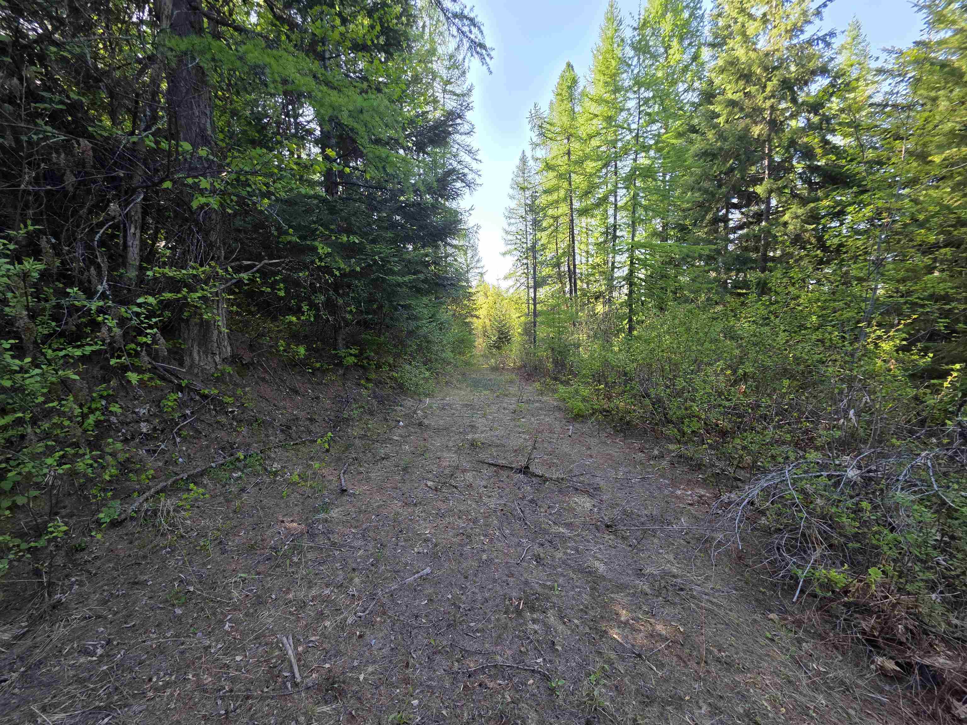 NKA LOOKOUT Rd - Photo 37