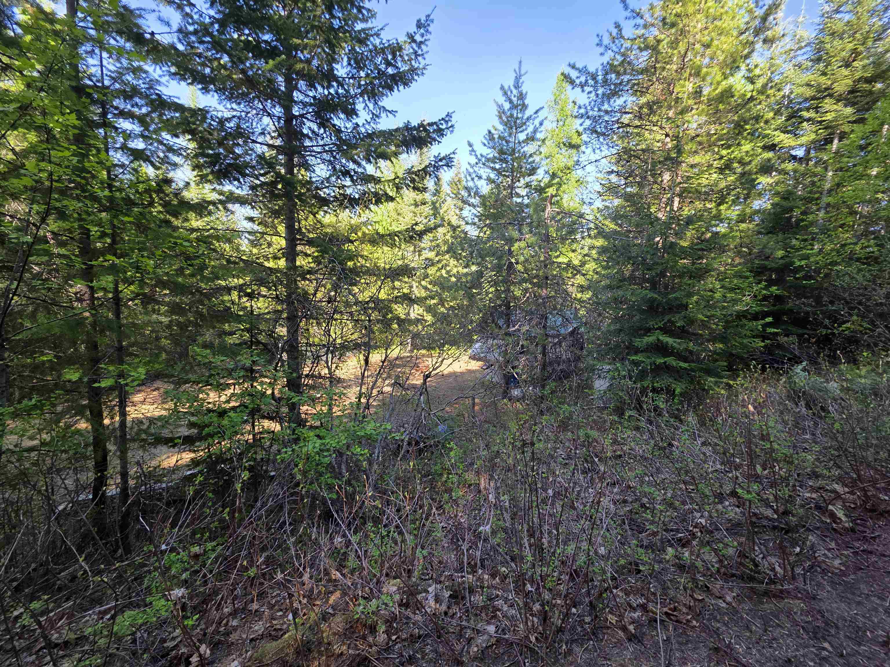 NKA LOOKOUT Rd - Photo 39