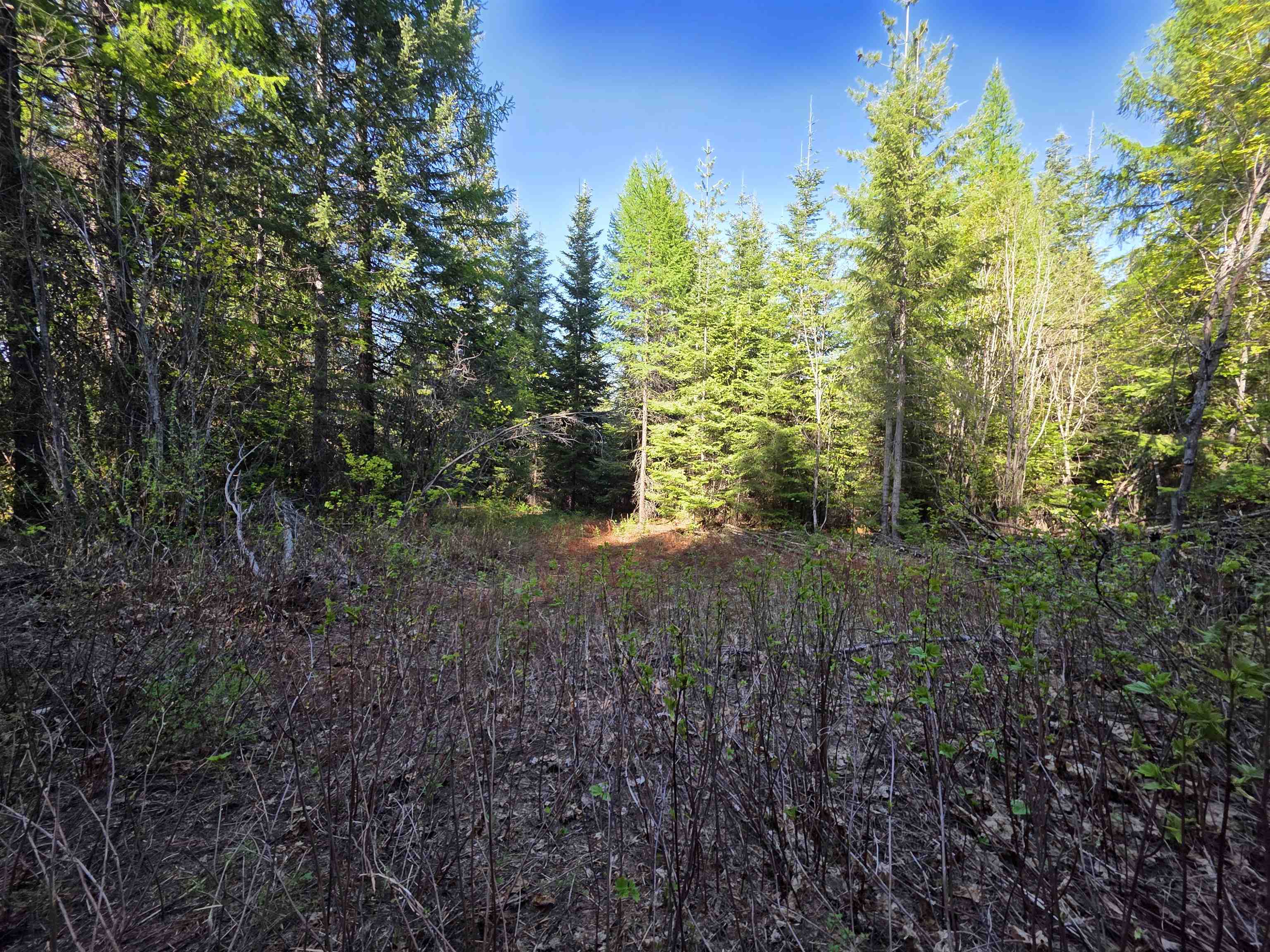 NKA LOOKOUT Rd - Photo 41