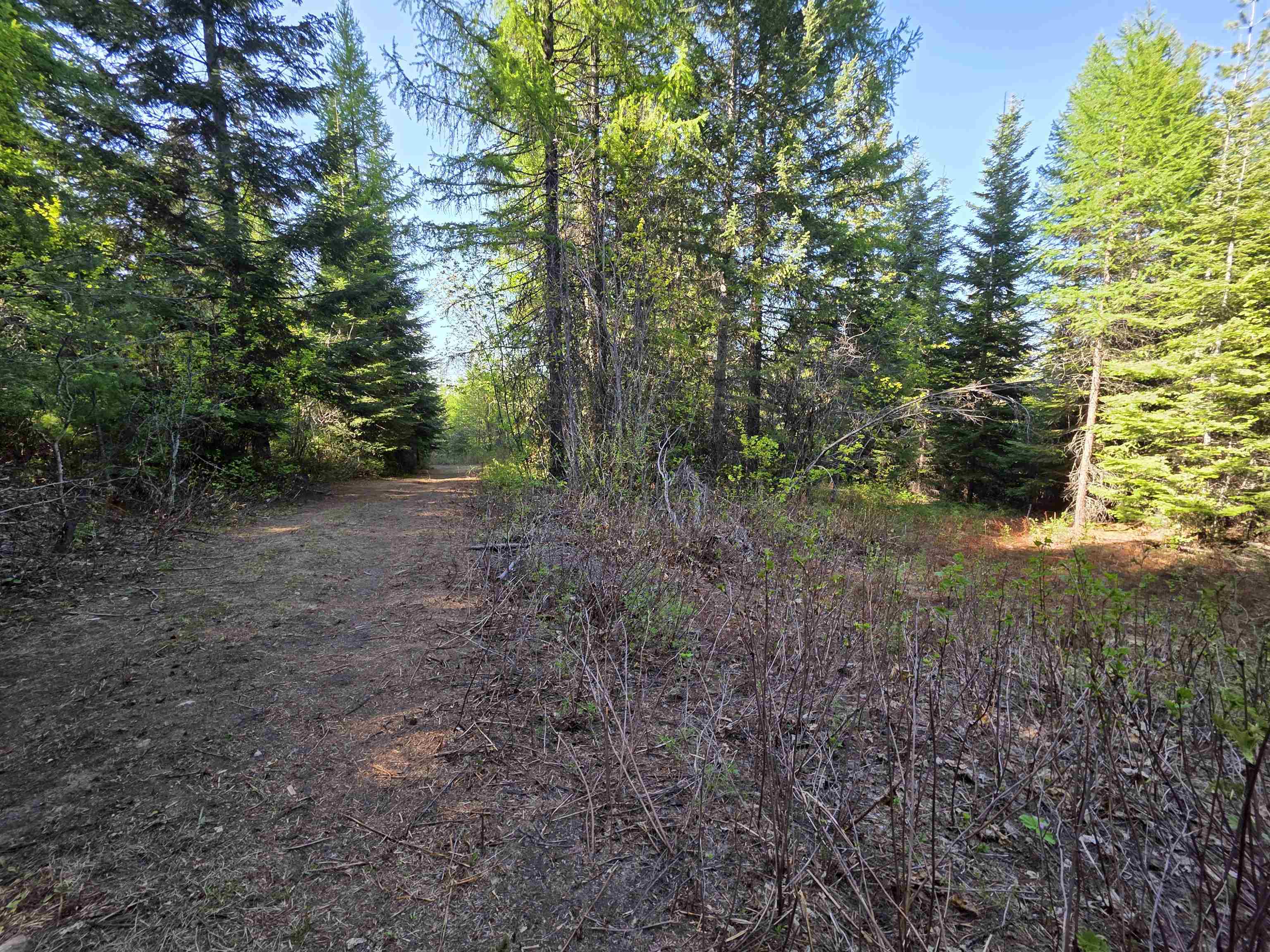 NKA LOOKOUT Rd - Photo 42