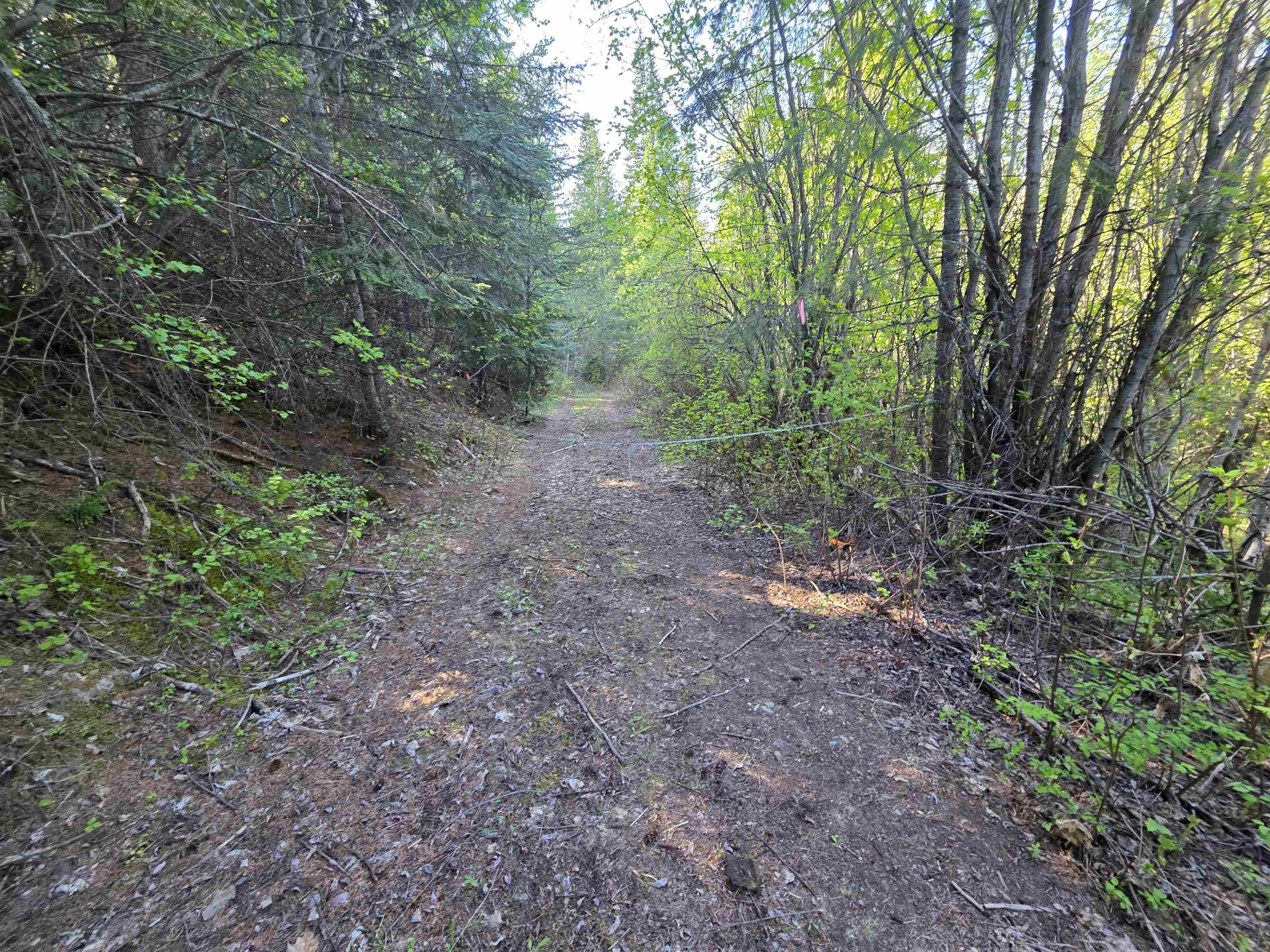 NKA LOOKOUT Rd - Photo 44