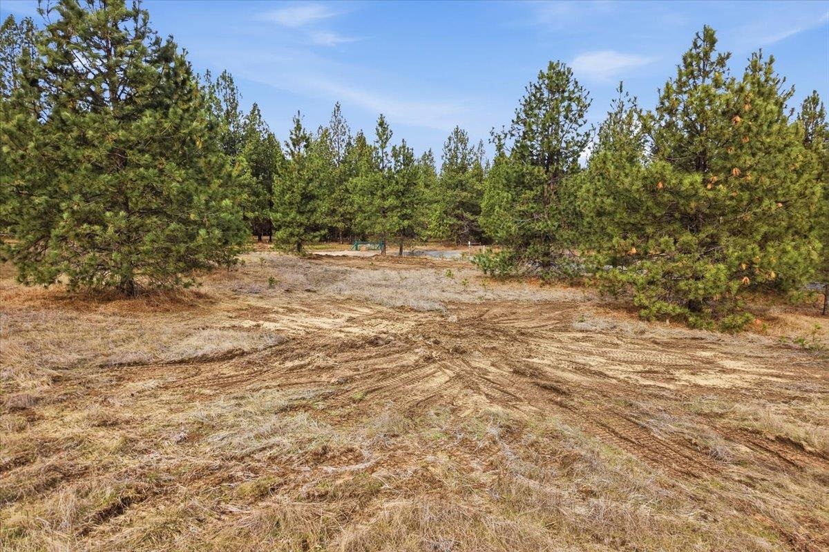 65xx Whispering Pines Way - Photo 2