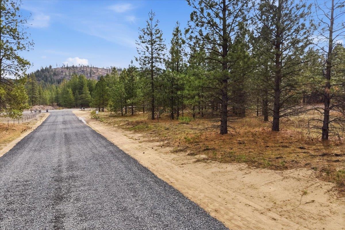 65xx Whispering Pines Way - Photo 3