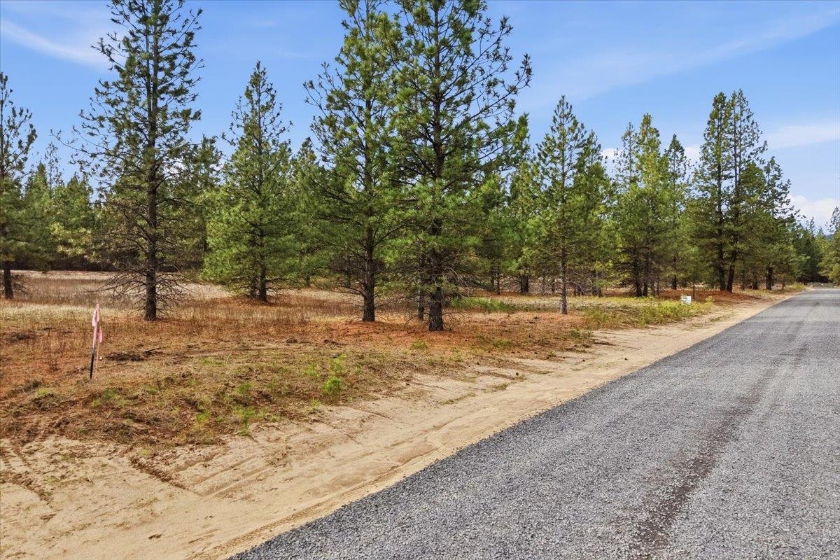 65xx Whispering Pines Way - Photo 4