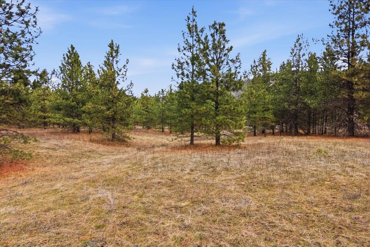65xx Whispering Pines Way - Photo 6