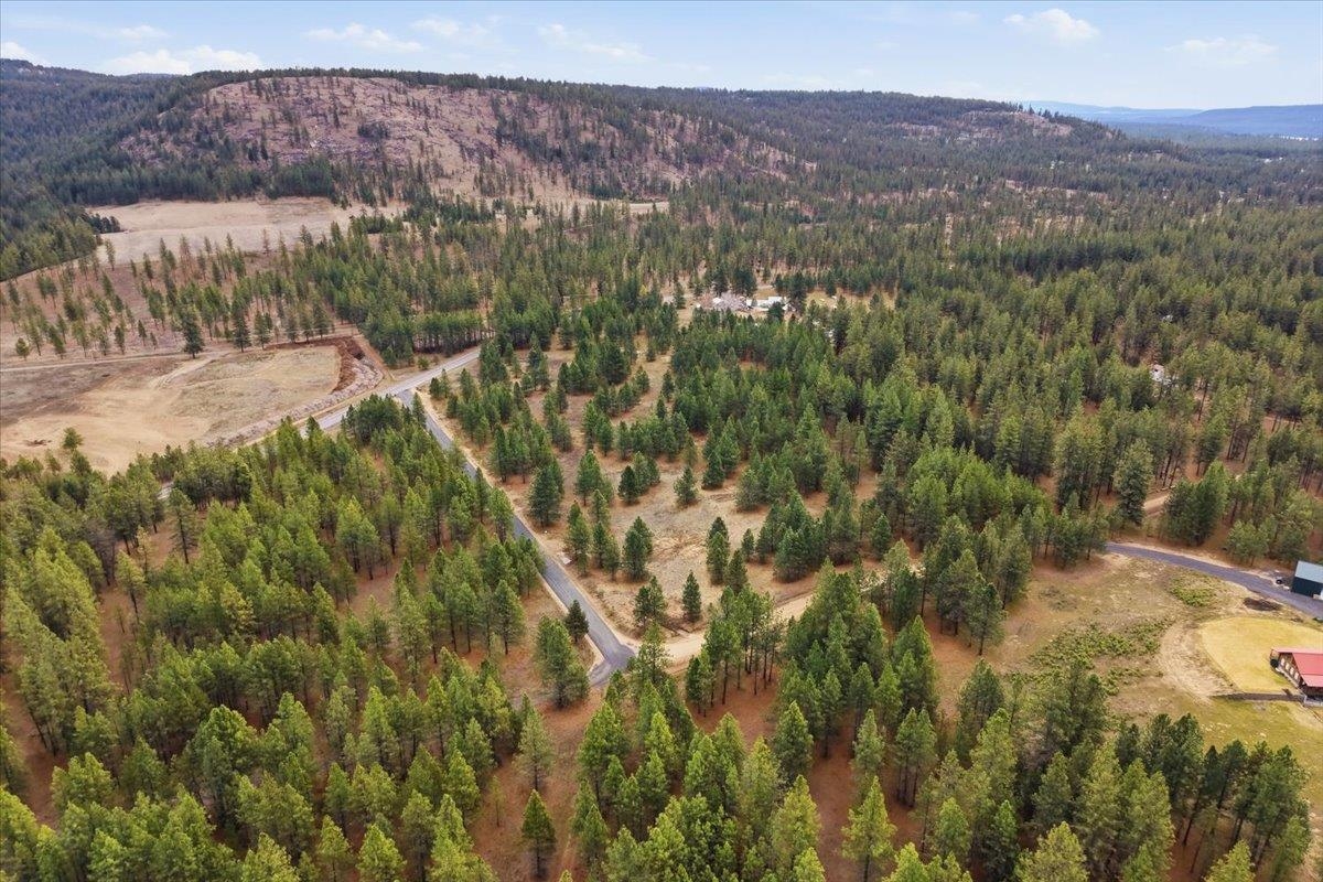 65xx Whispering Pines Way - Photo 8