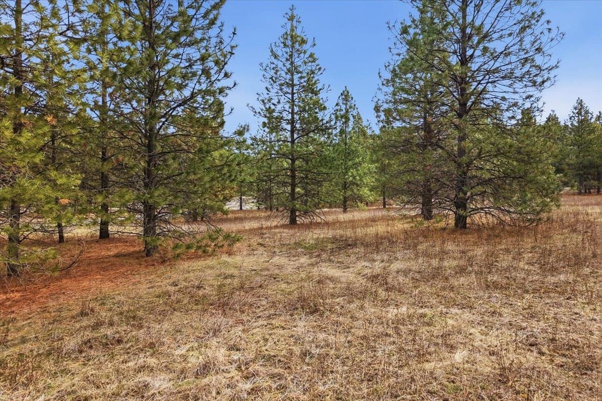 65xx Whispering Pines Way - Photo 2