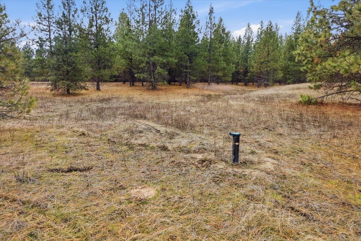 65xx Whispering Pines Way - Photo 7
