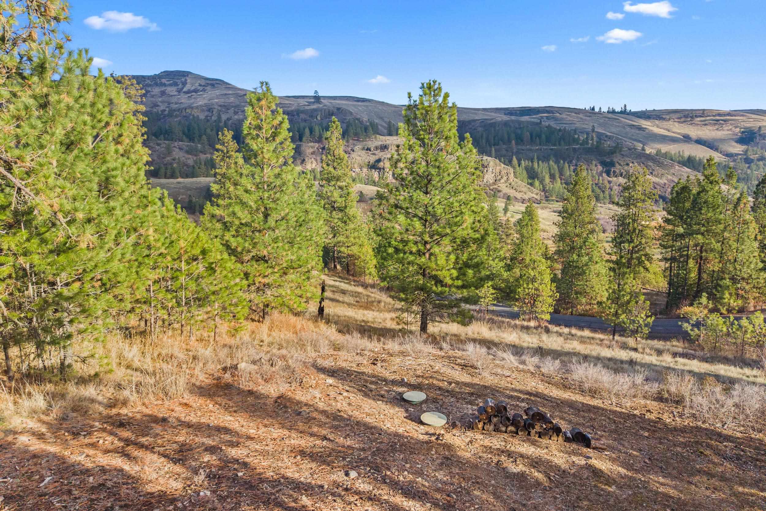 31741 E Ringneck Ln - Photo 28