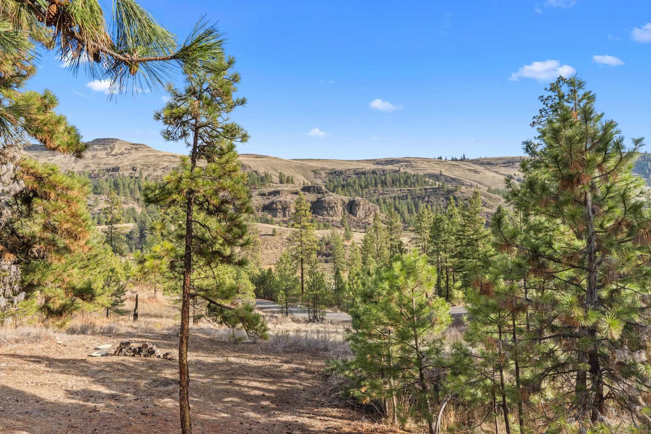 31741 E Ringneck Ln - Photo 29