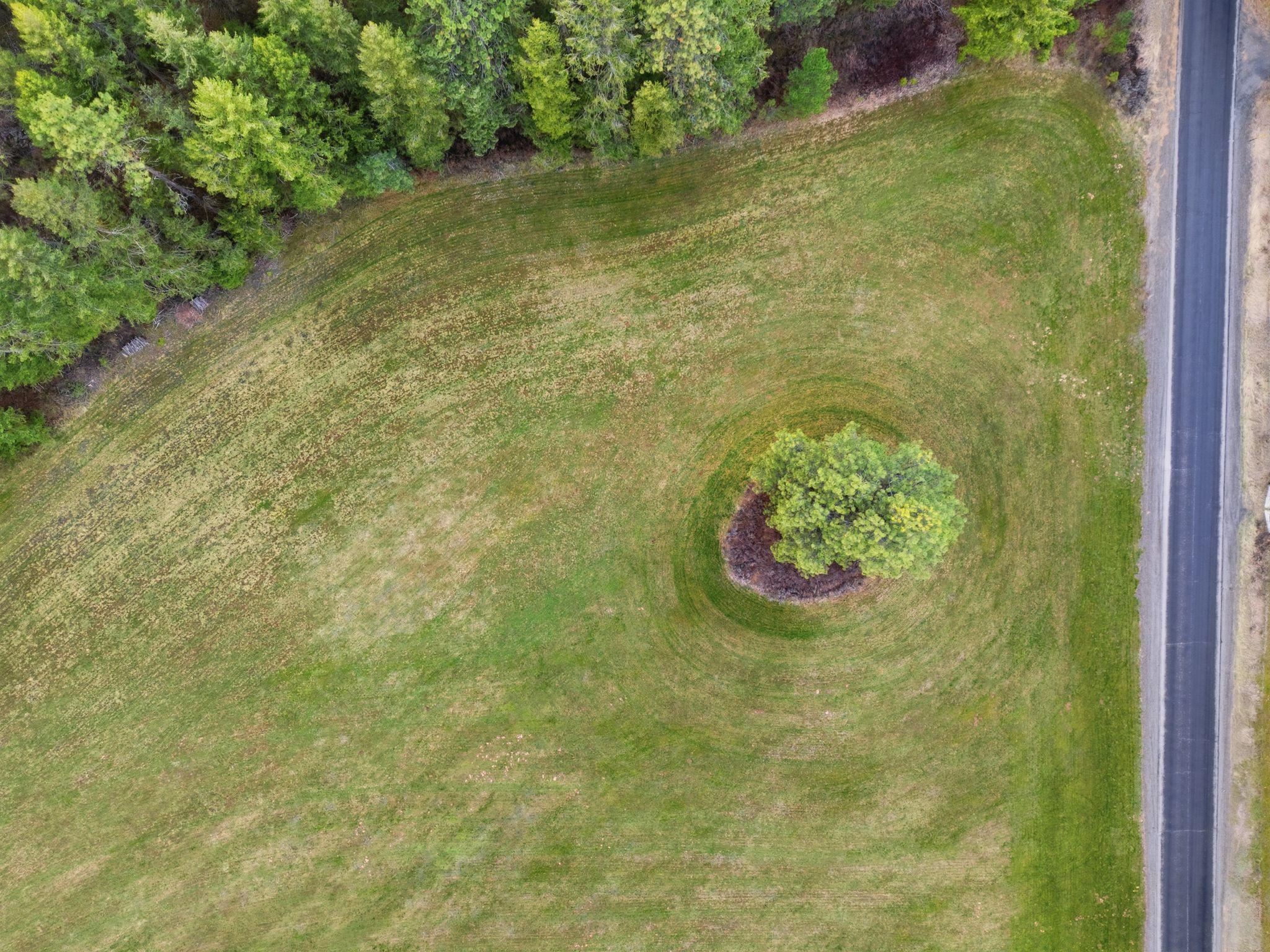 44xx E Spangle Creek Rd - Photo 5
