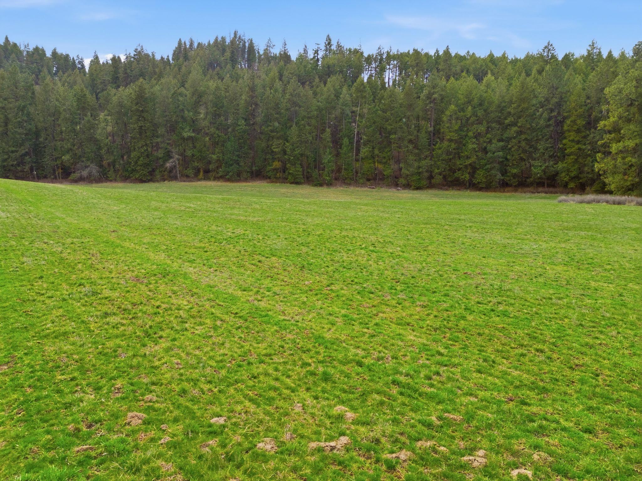 44xx E Spangle Creek Rd - Photo 7