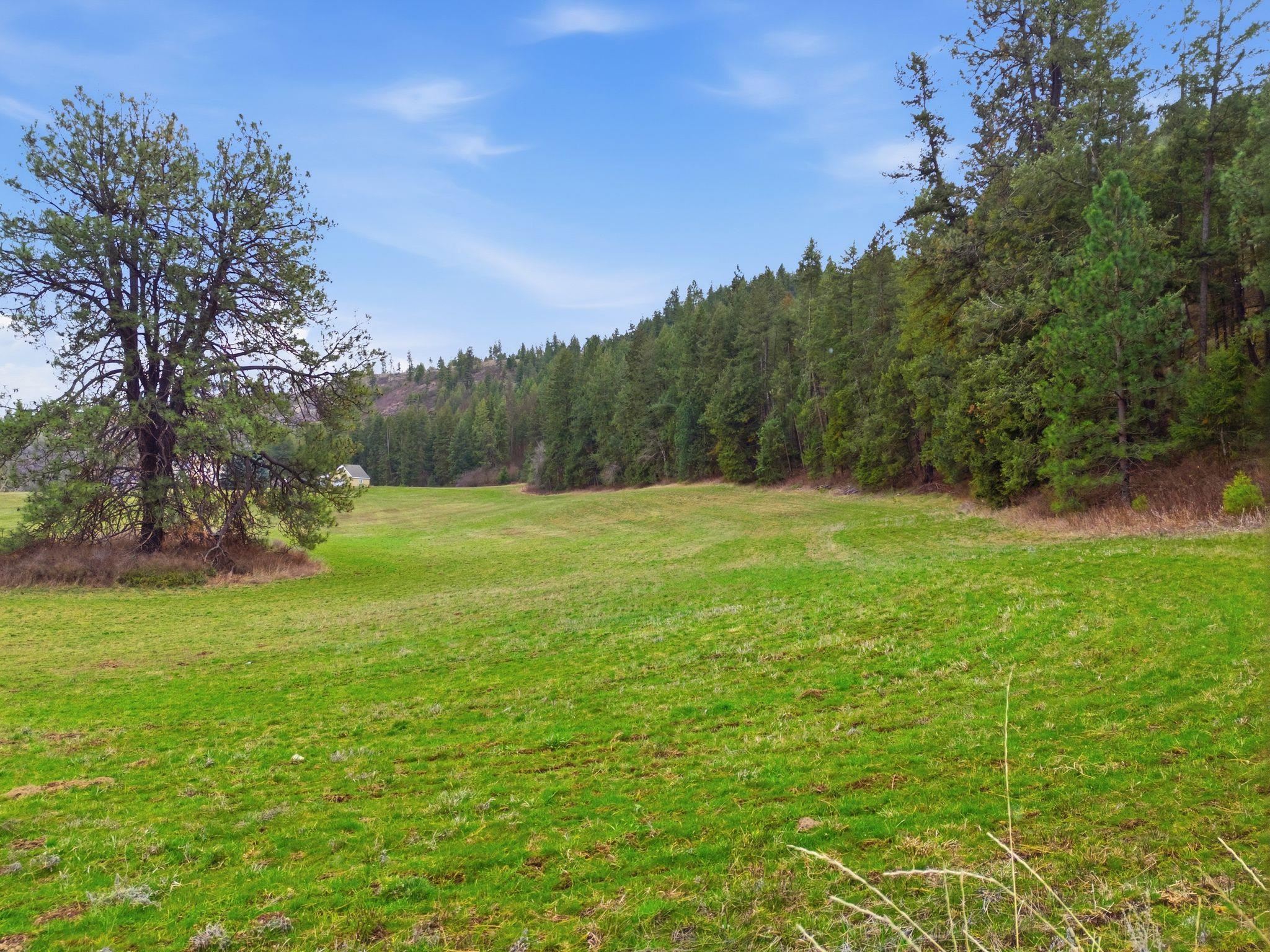 44xx E Spangle Creek Rd - Photo 8