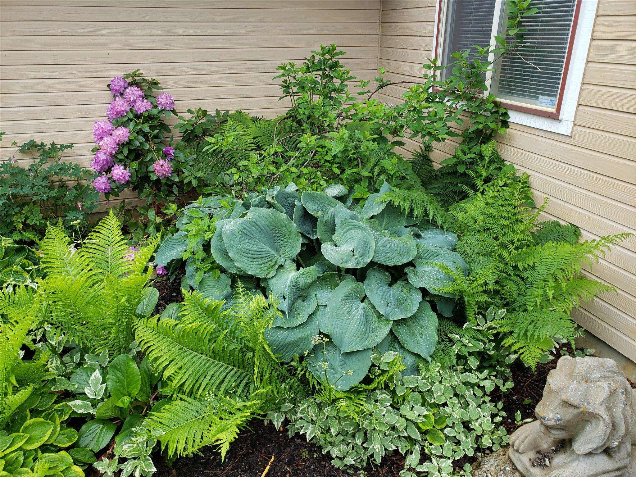 12912 E Gibbs Rd - Photo 34