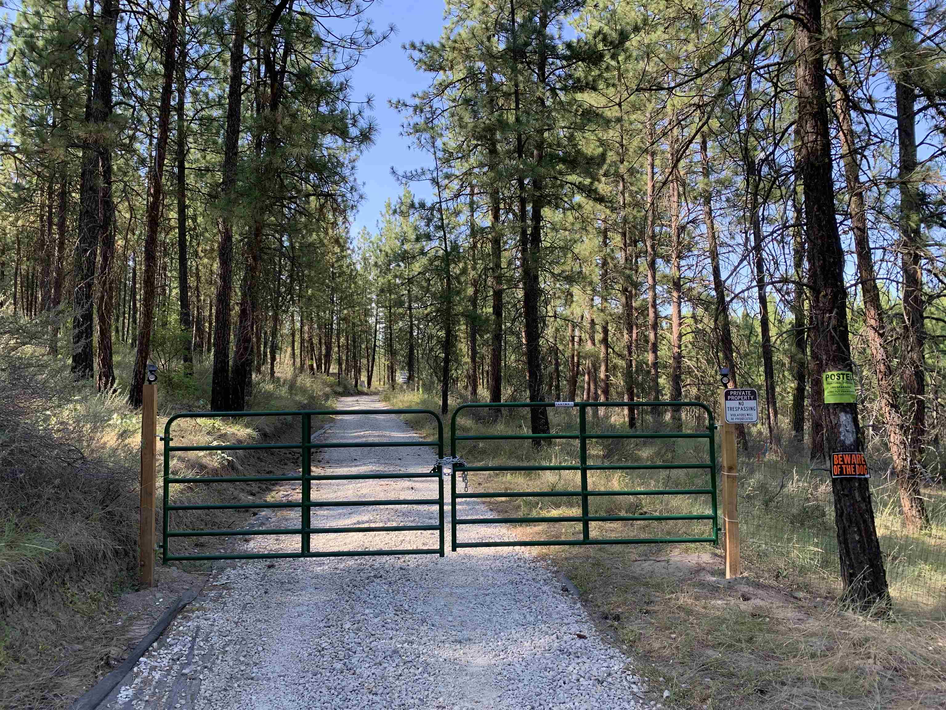 6658 Sand Flats Rd - Photo 11