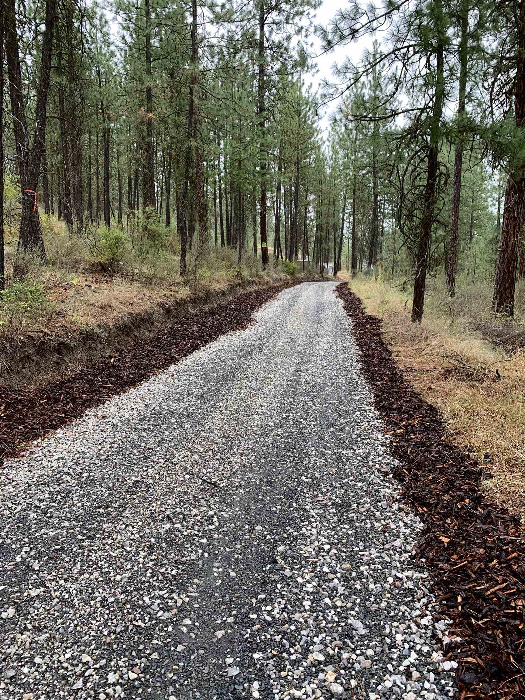 6658 Sand Flats Rd - Photo 13