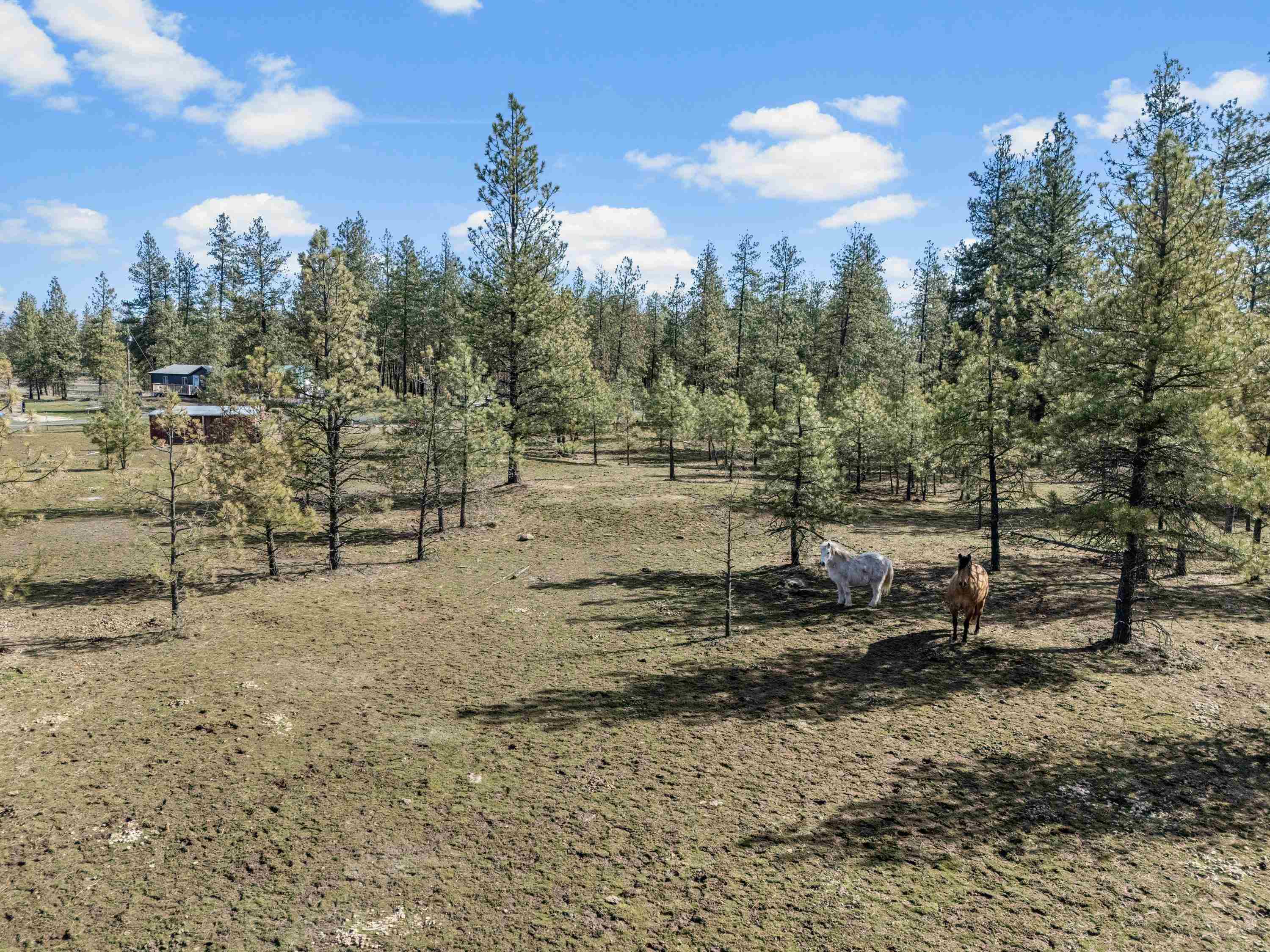 24315 S Columbia Basin Hwy - Photo 40