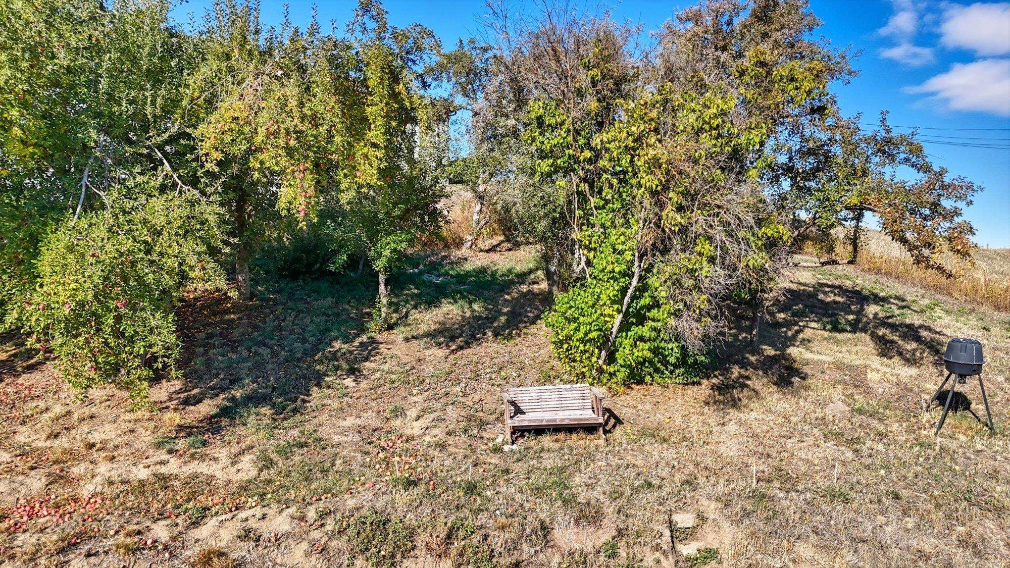 602 W Bartlett St - Photo 31