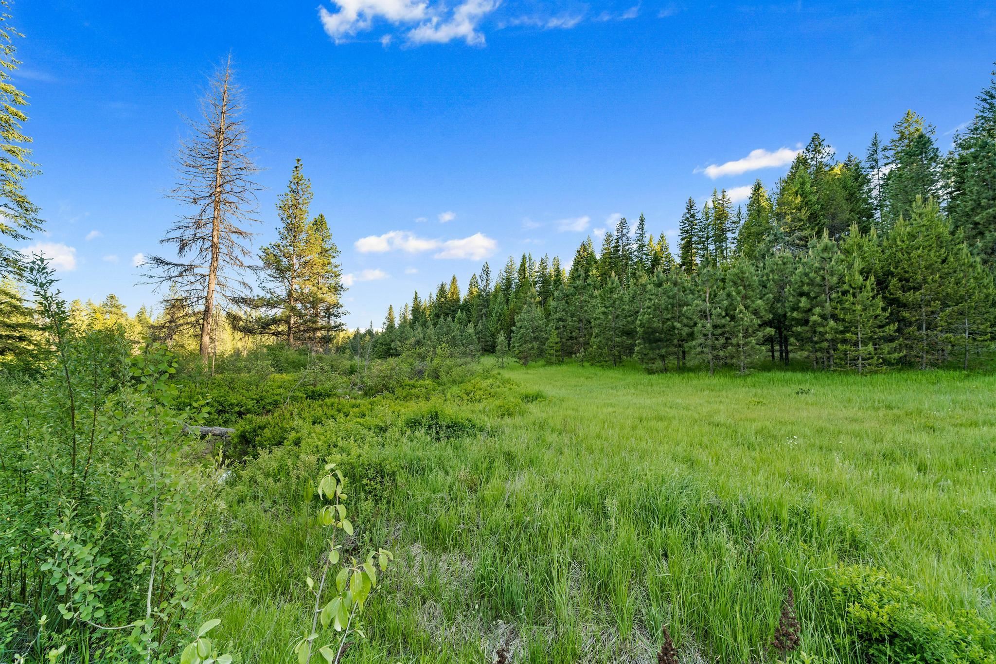5266 Bear Ridge Way - Photo 29