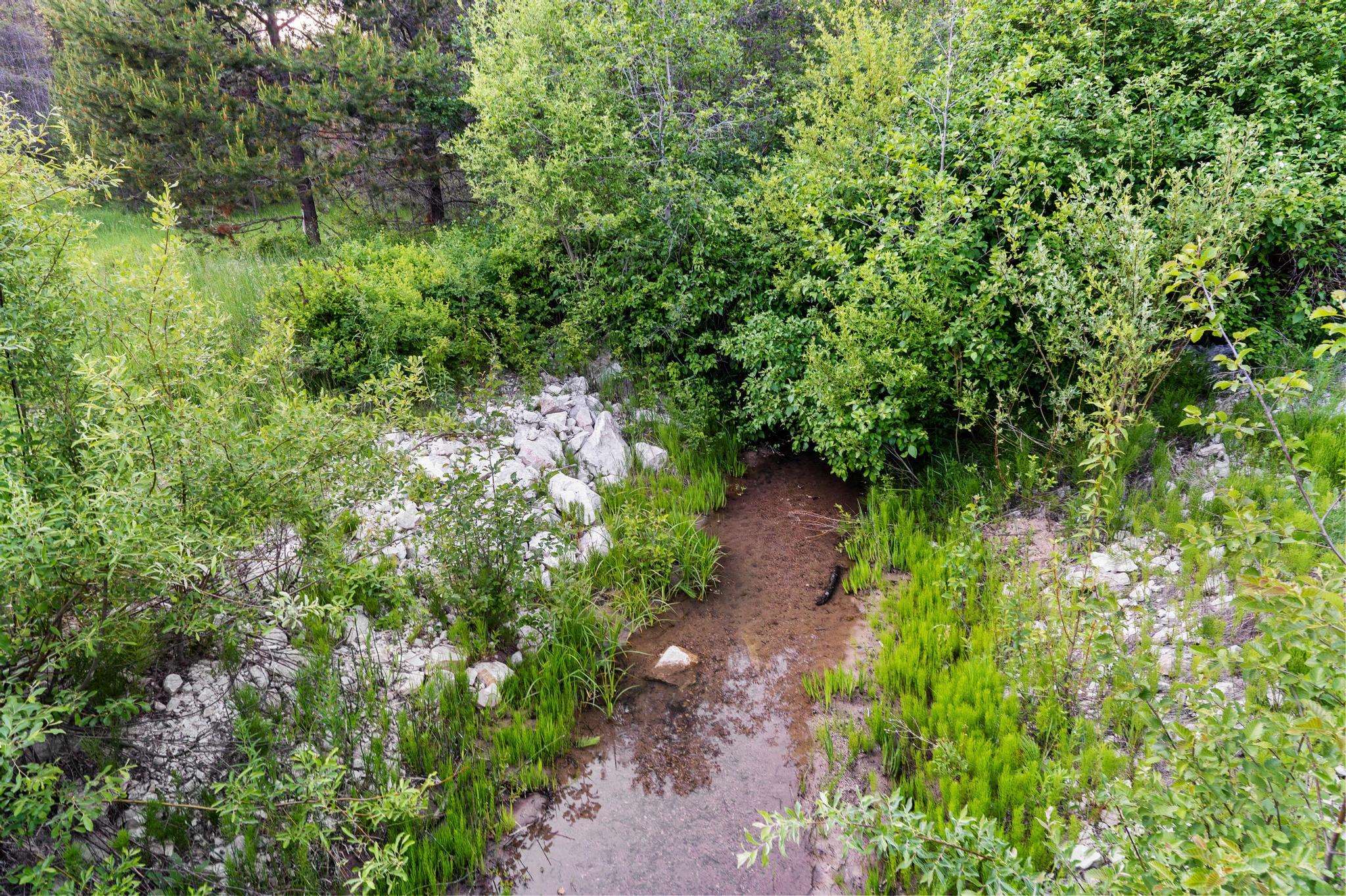 5266 Bear Ridge Way - Photo 31
