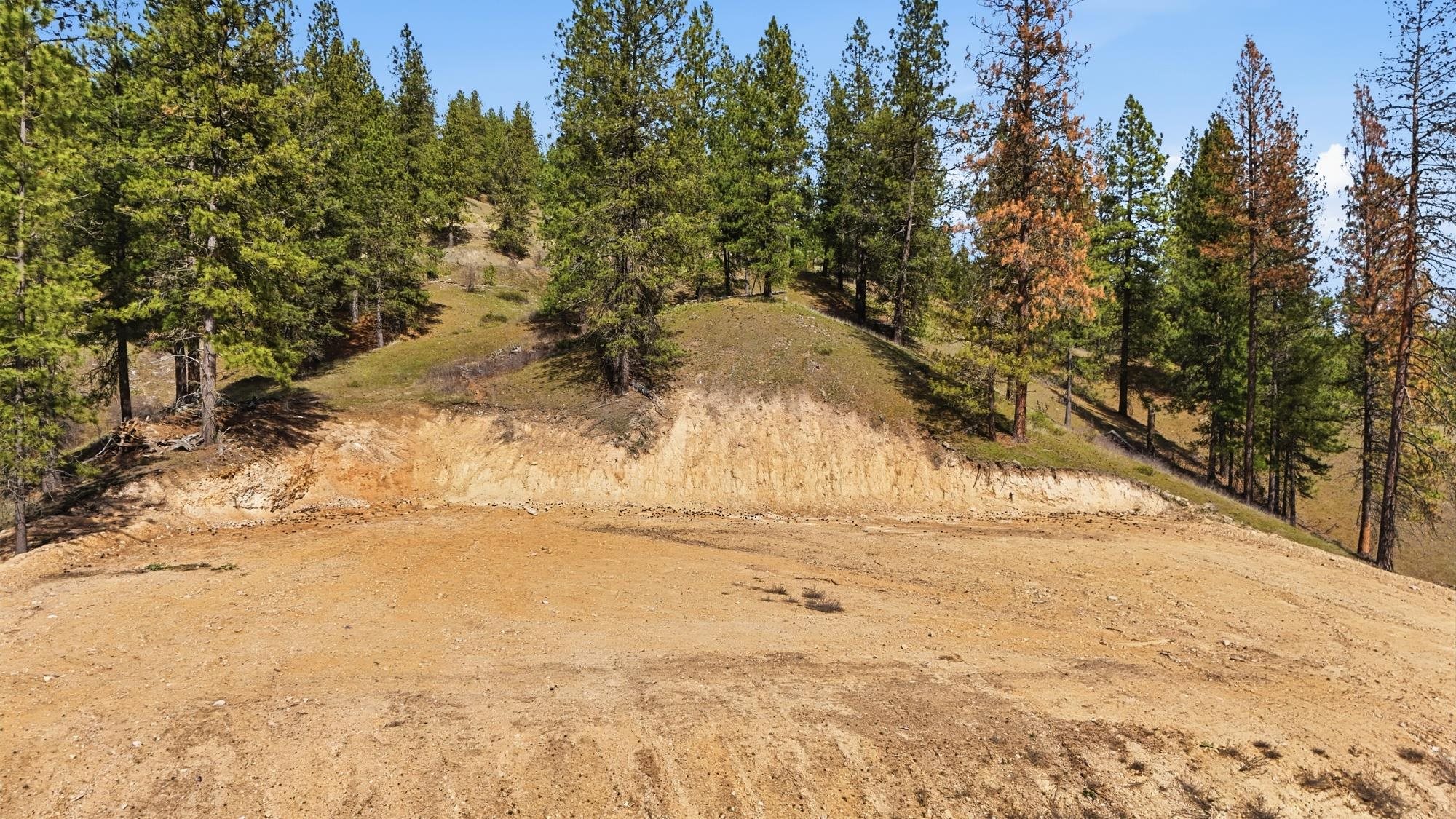 2600 Pine Top Blk Rd - Photo 5