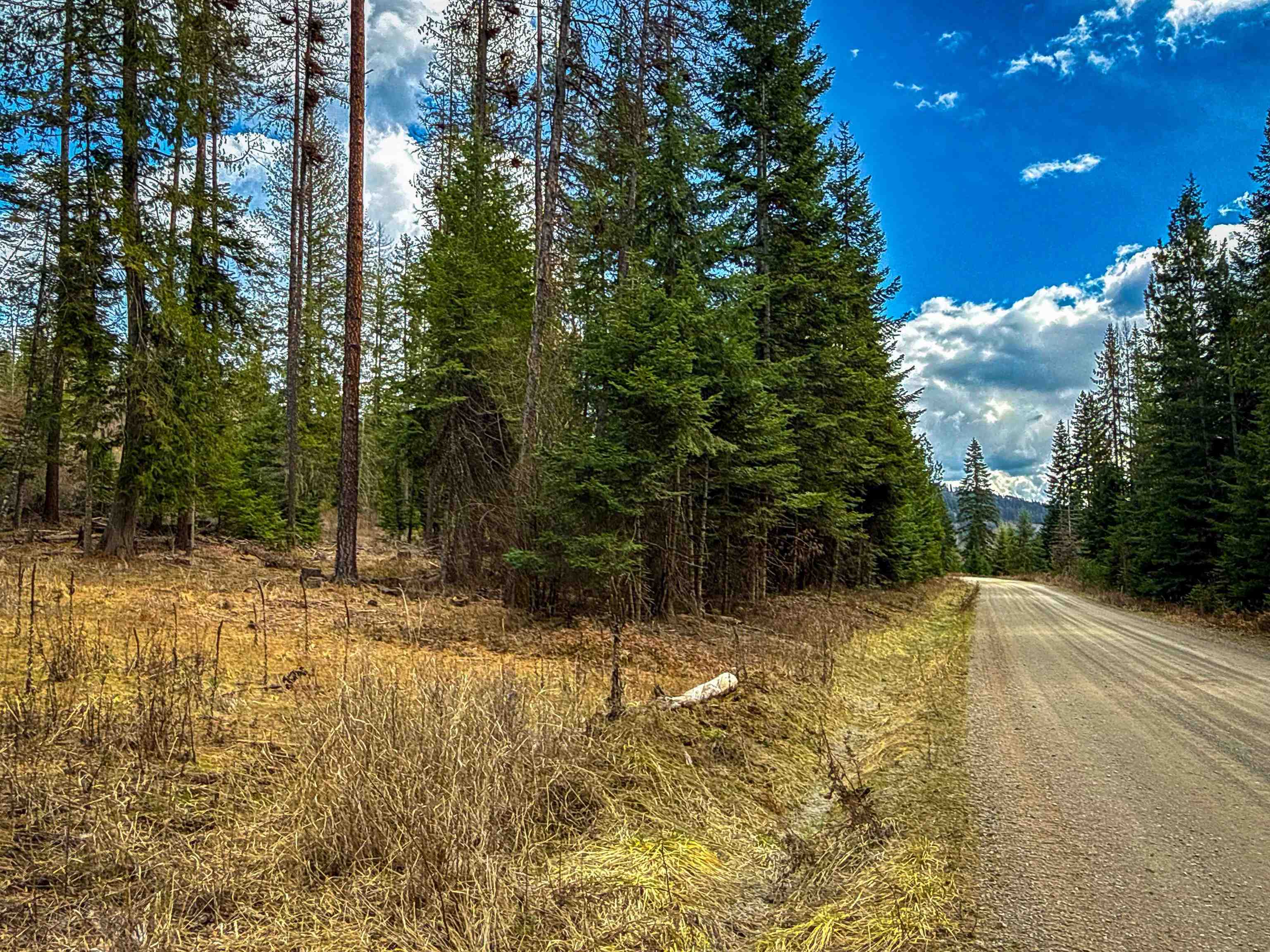 NKA Best Chance Rd - Photo 8