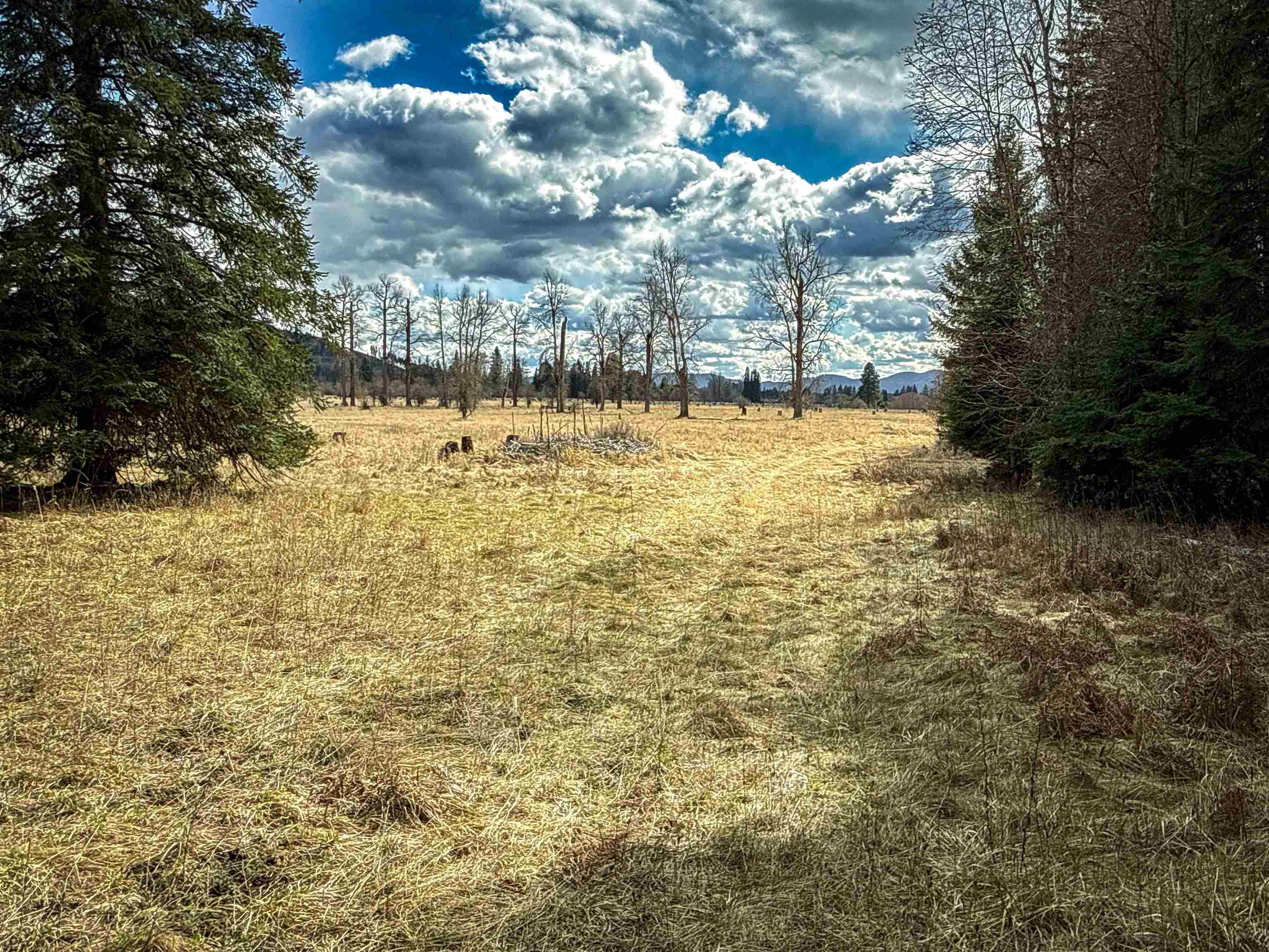 NKA Best Chance Rd - Photo 9
