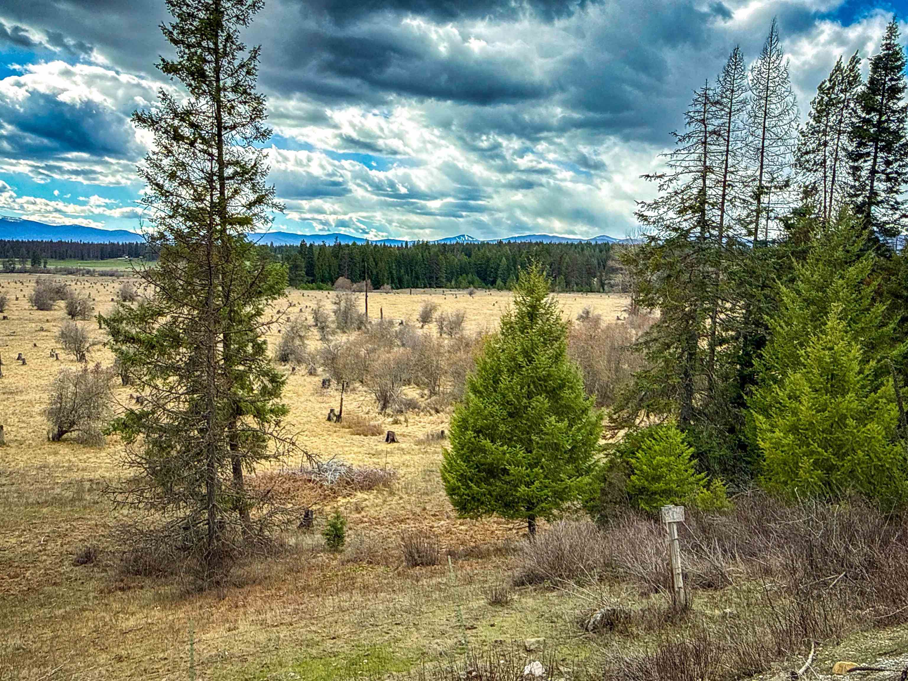 NKA Best Chance Rd - Photo 10