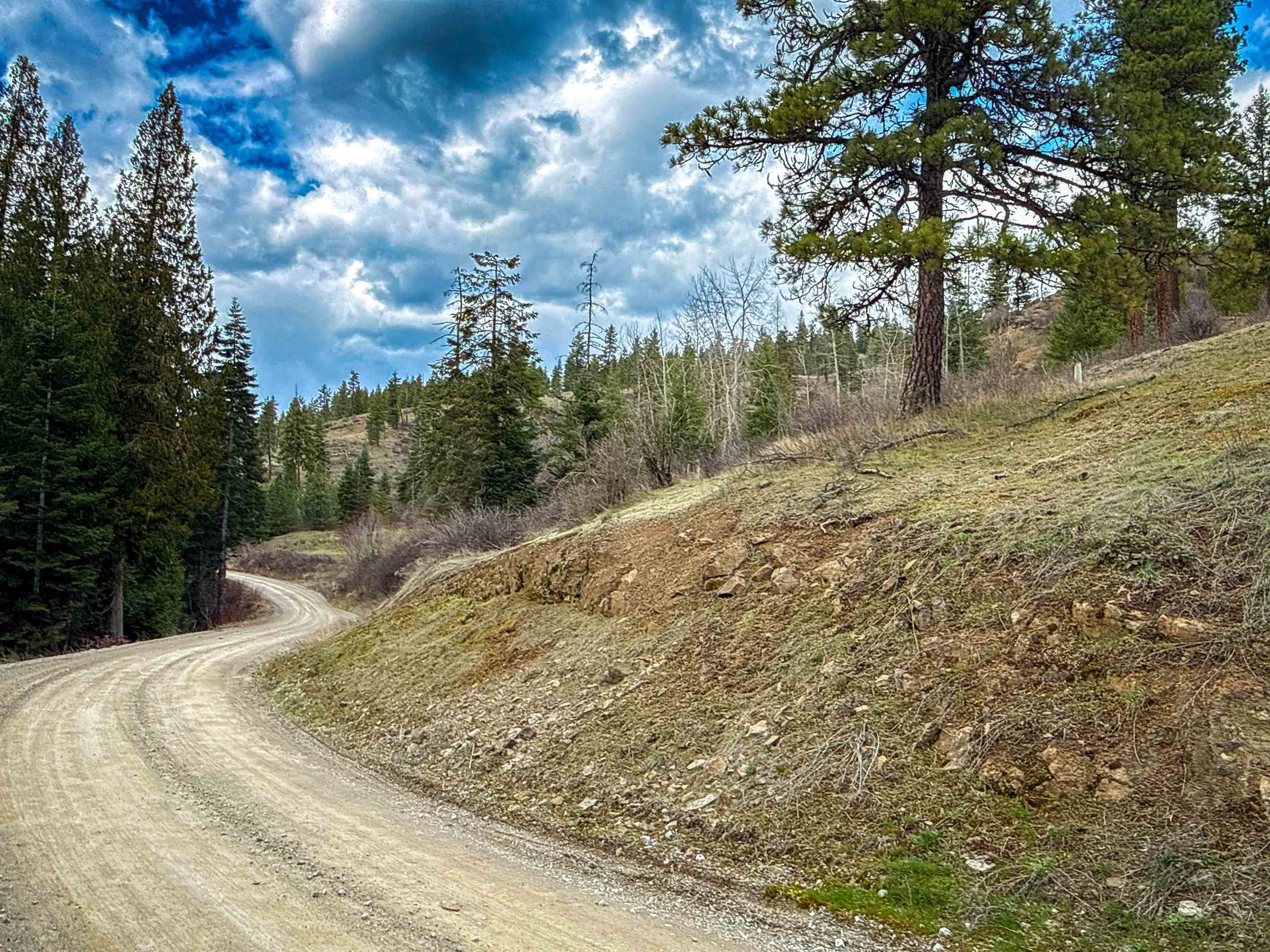NKA Best Chance Rd - Photo 12