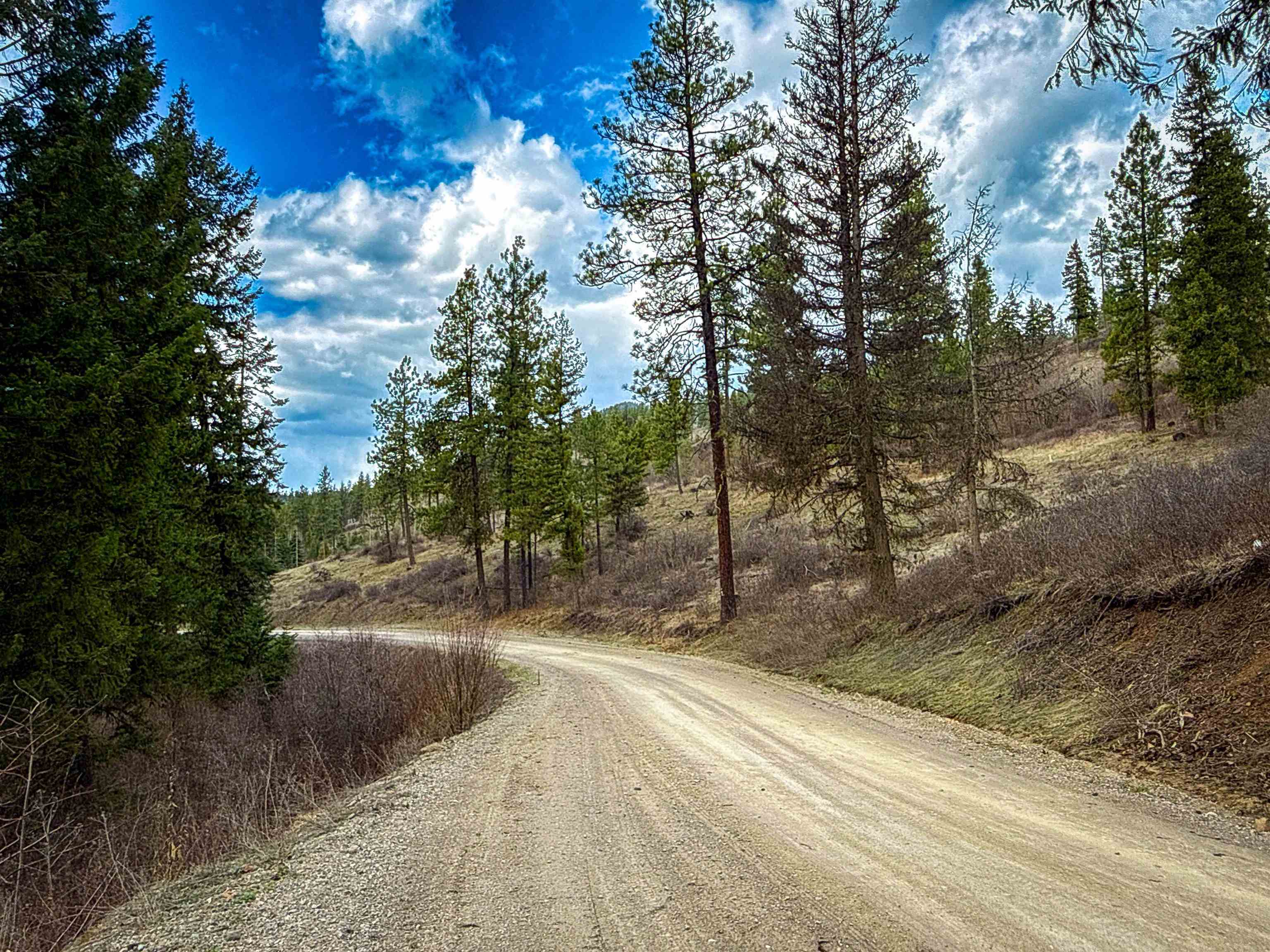 NKA Best Chance Rd - Photo 14