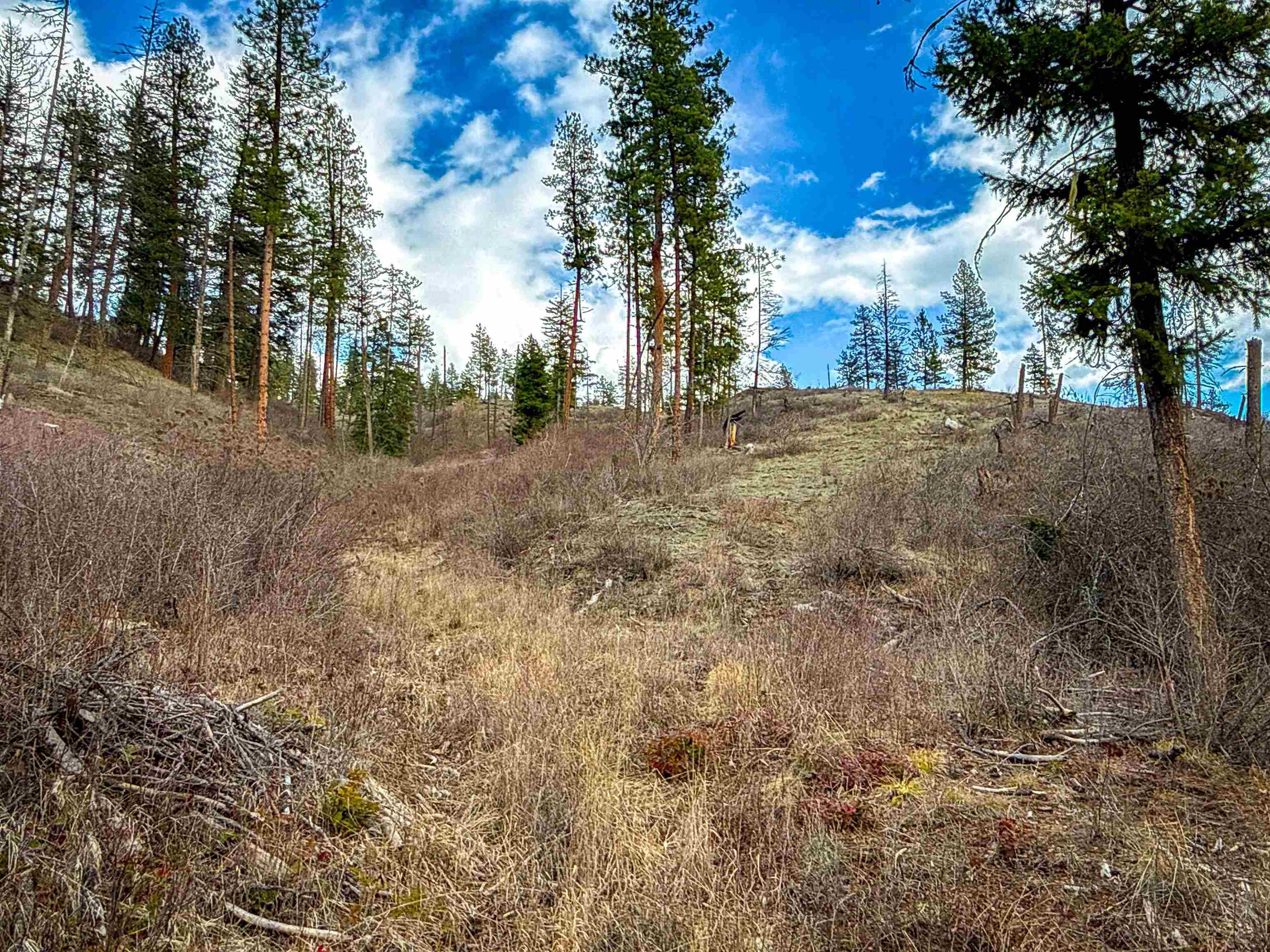 NKA Best Chance Rd - Photo 16