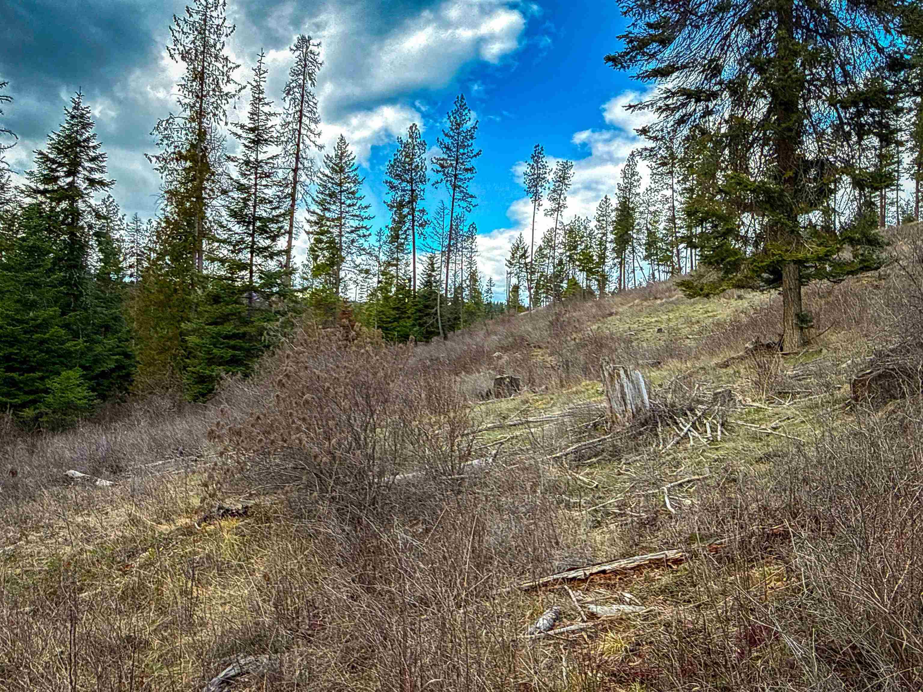NKA Best Chance Rd - Photo 17