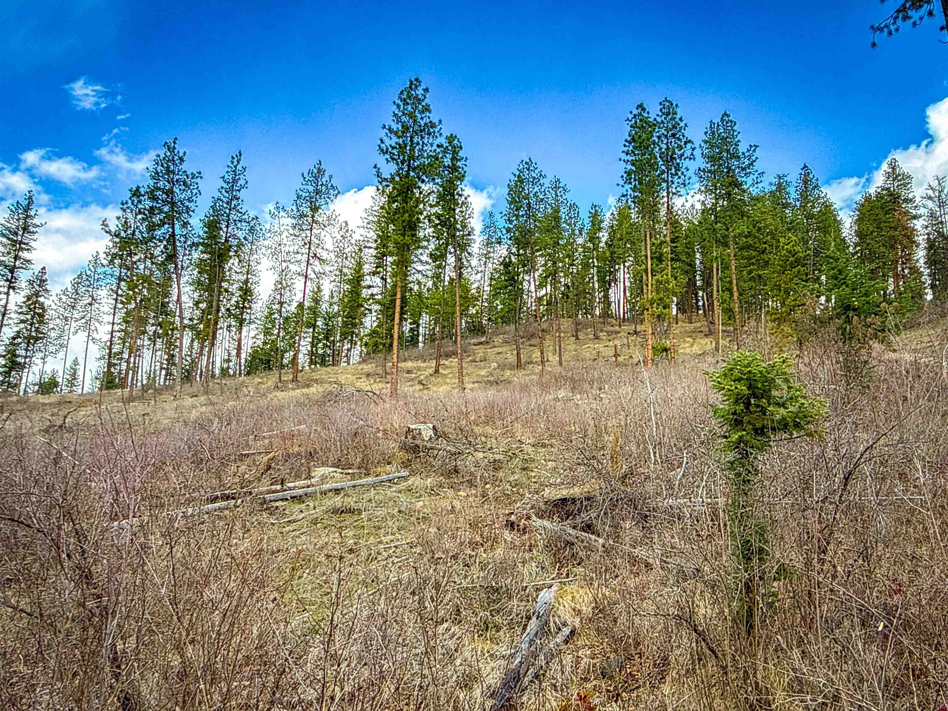 NKA Best Chance Rd - Photo 18