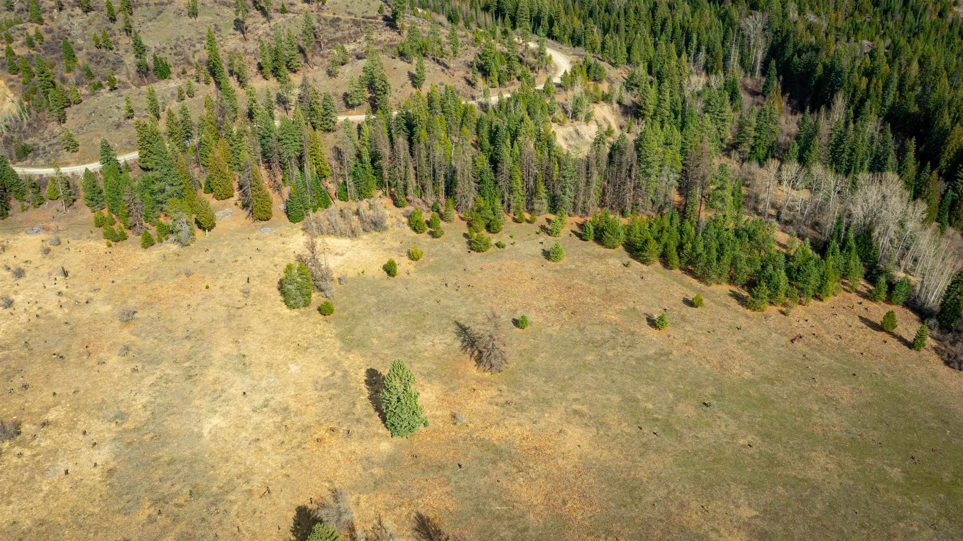 NKA Best Chance Rd - Photo 26