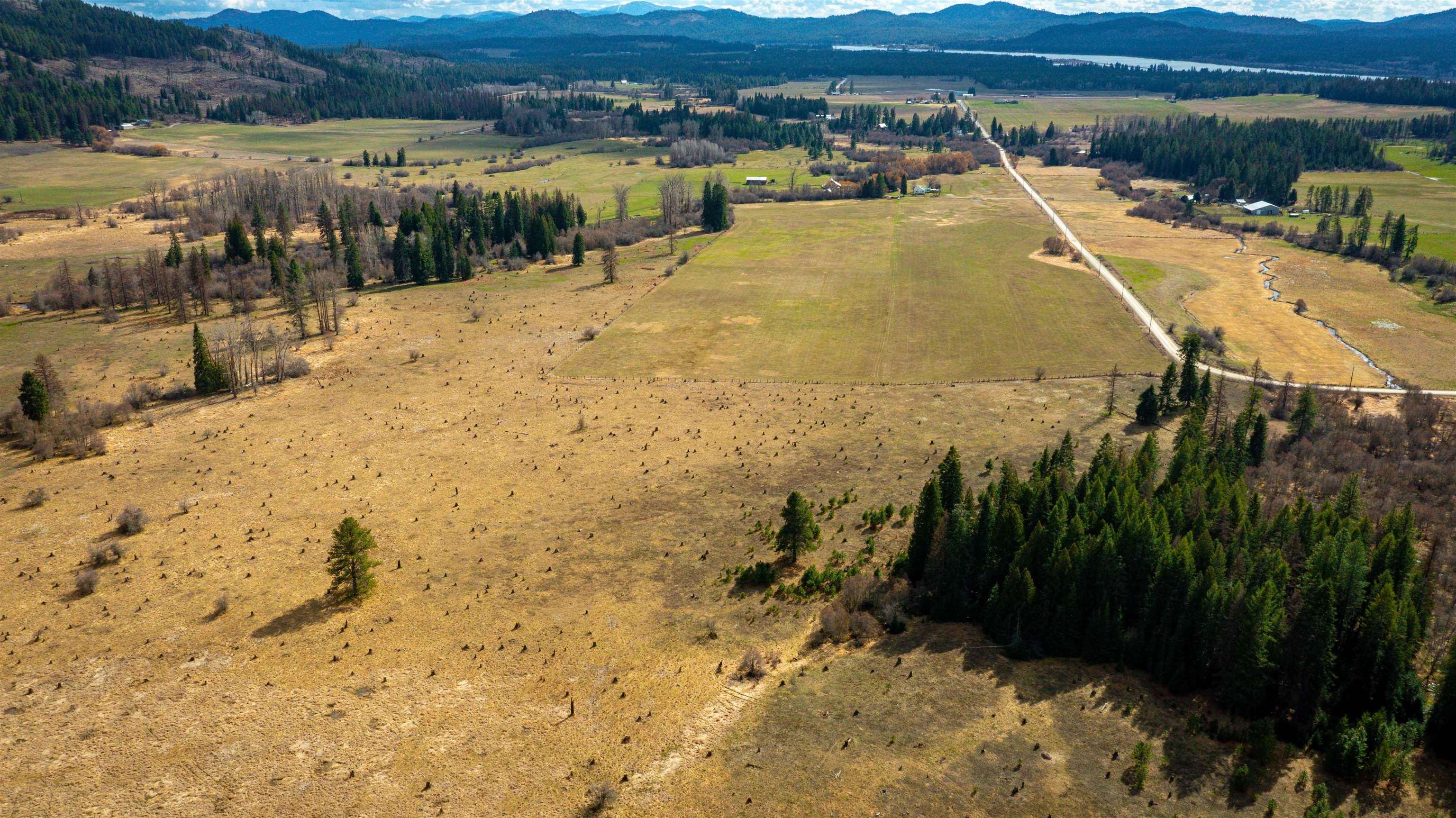 NKA Best Chance Rd - Photo 27