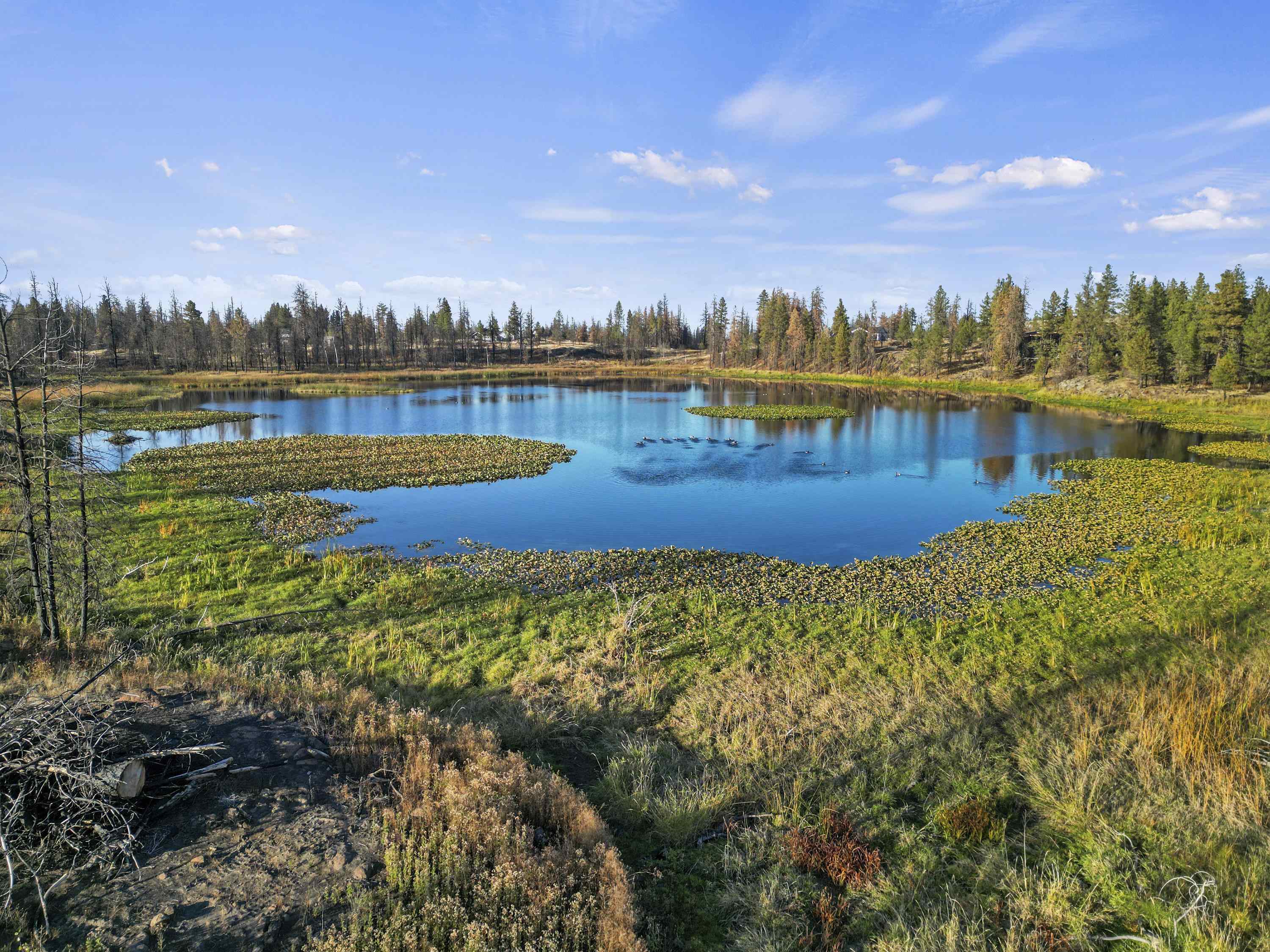 XXX W Page Pond Ln - Photo 6