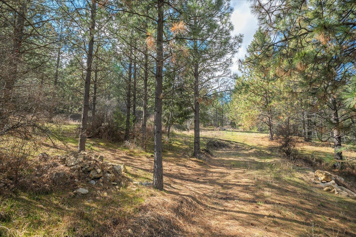 5724 E Corkery Rd - Photo 42