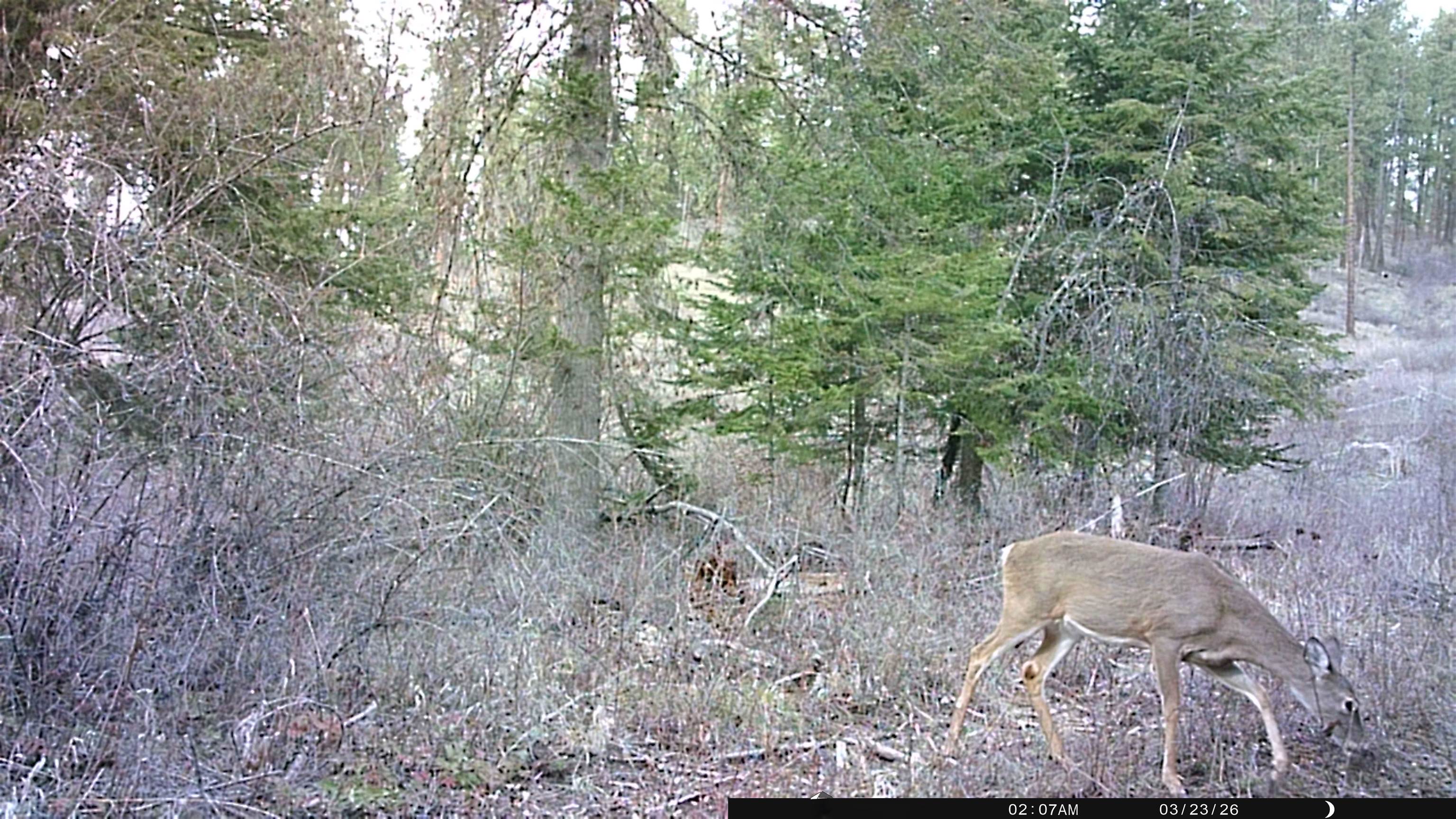 NKA Best Chance Rd - Photo 37