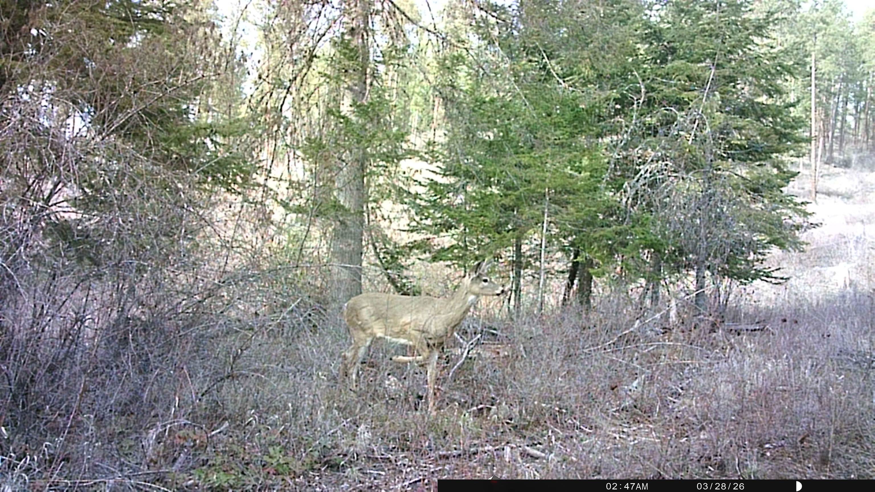 NKA Best Chance Rd - Photo 38