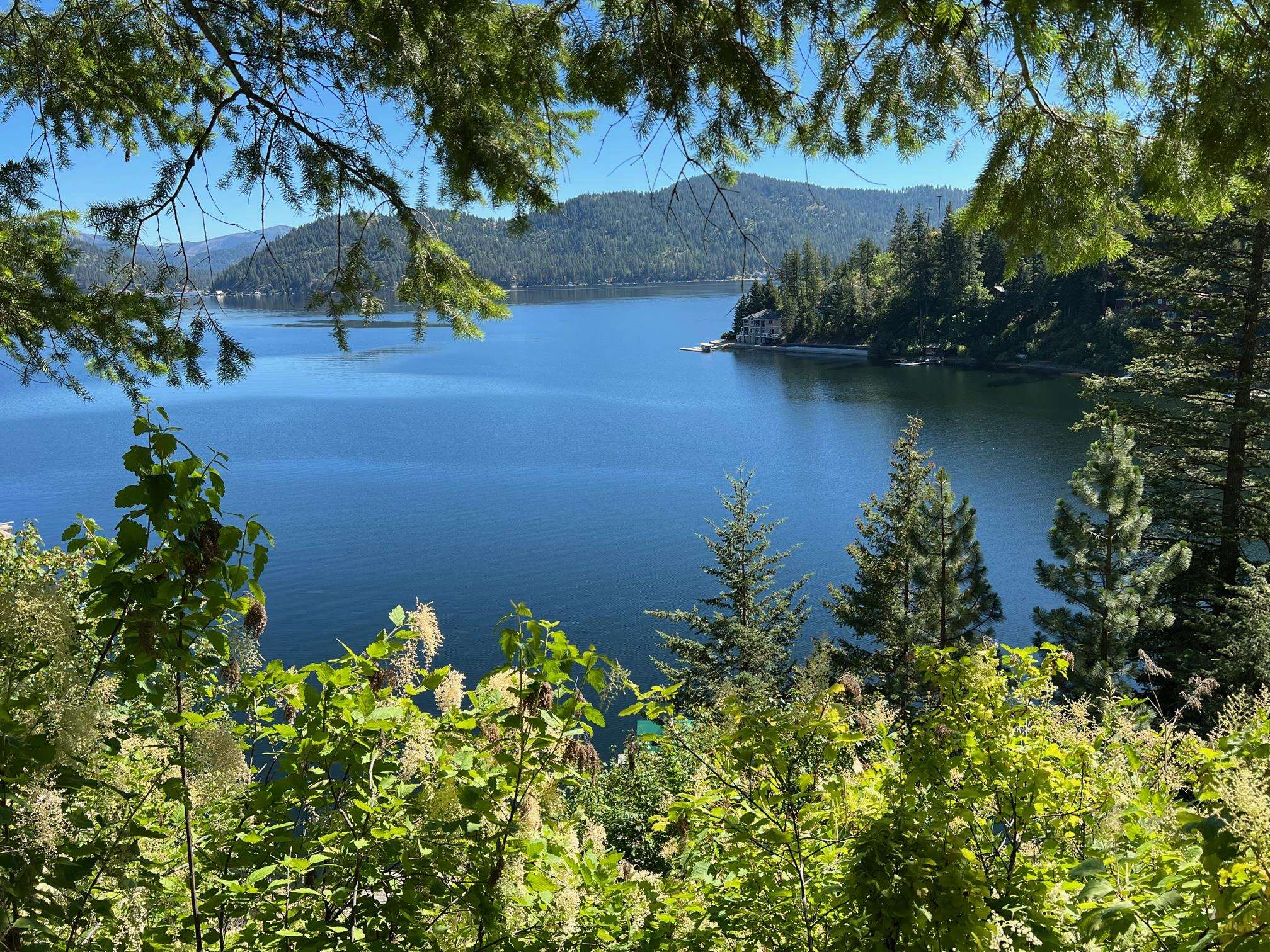 3852 W Pine Bay Way - Photo 12