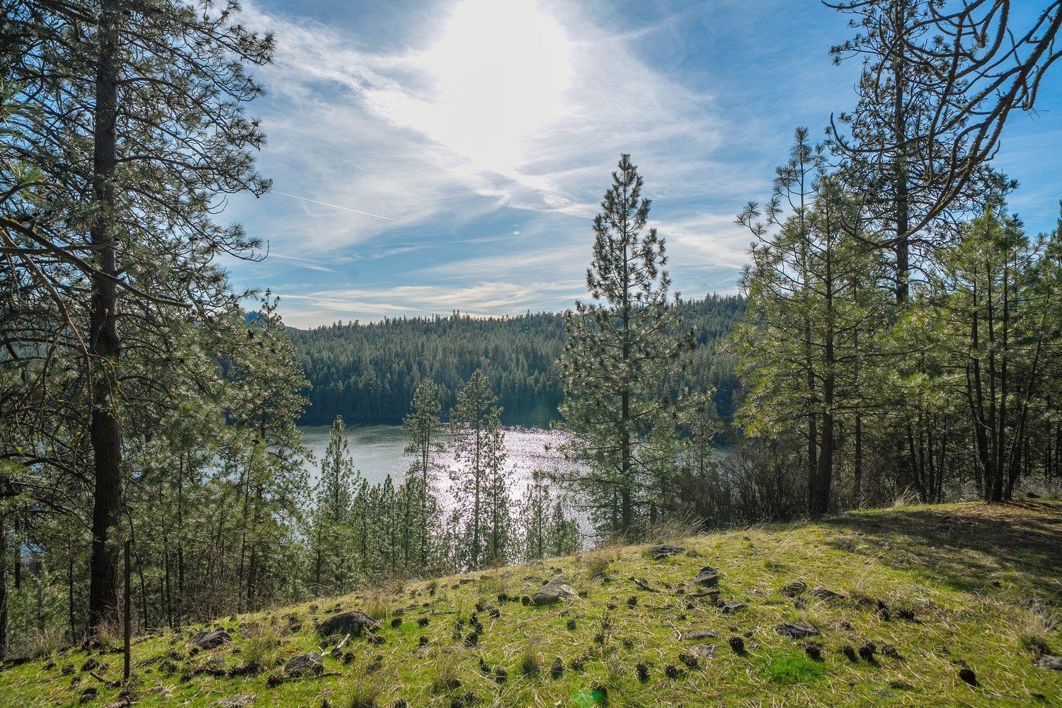 6533 D Lois Way - Photo 46