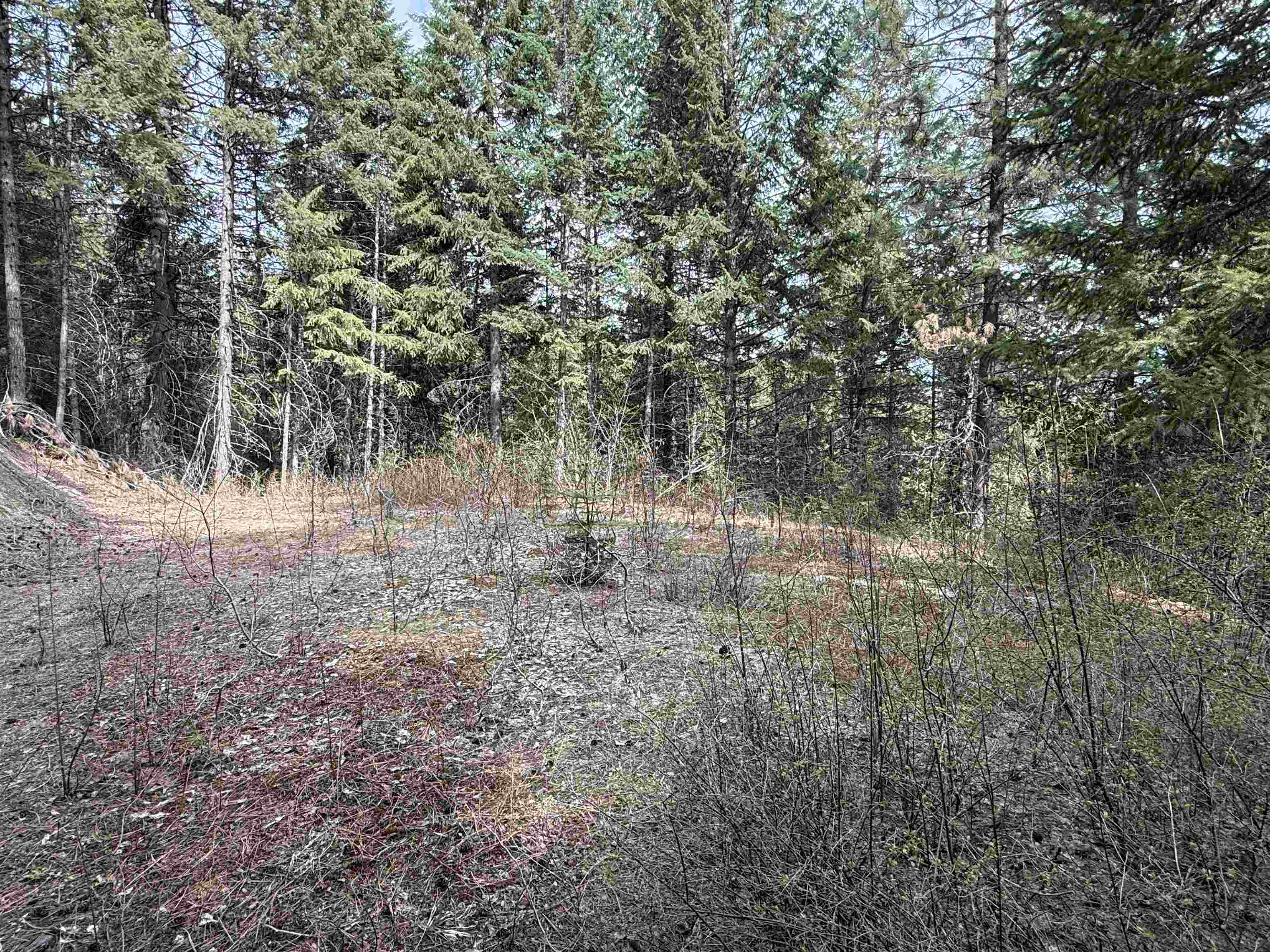 NNA Buck Creek Rd - Photo 6