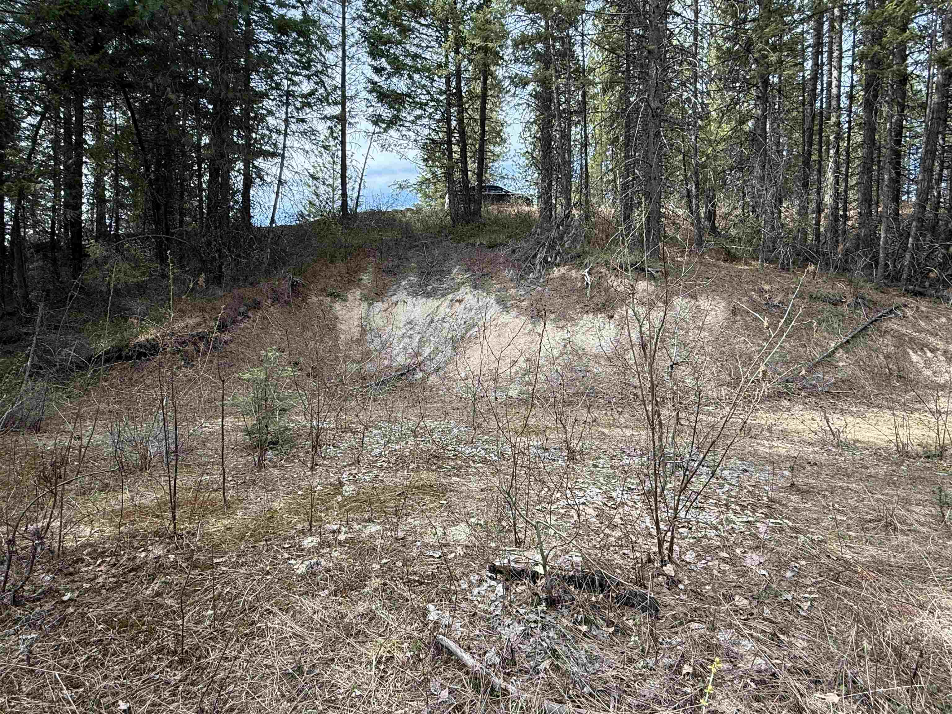 NNA Buck Creek Rd - Photo 9