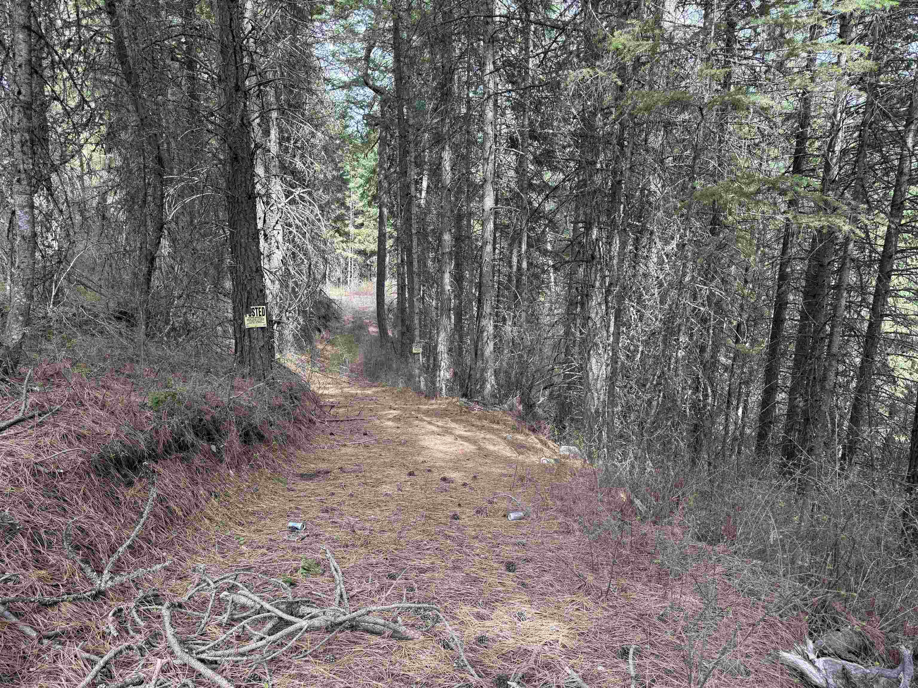 NNA Buck Creek Rd - Photo 13